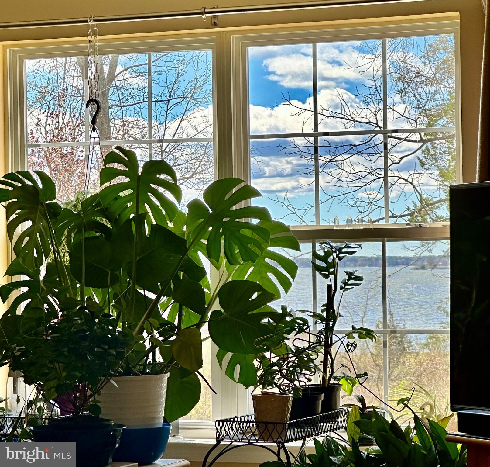 WICOMICO SHORES - Residential