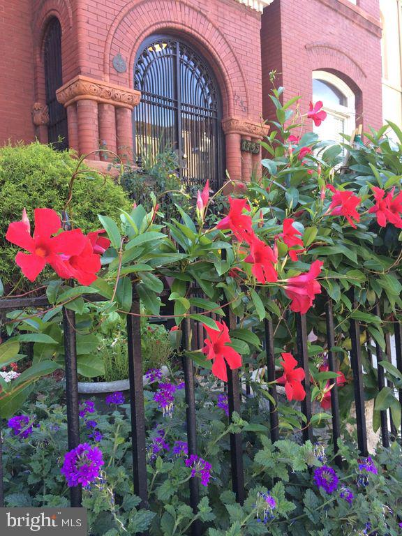 DUPONT CIRCLE - Residential Income