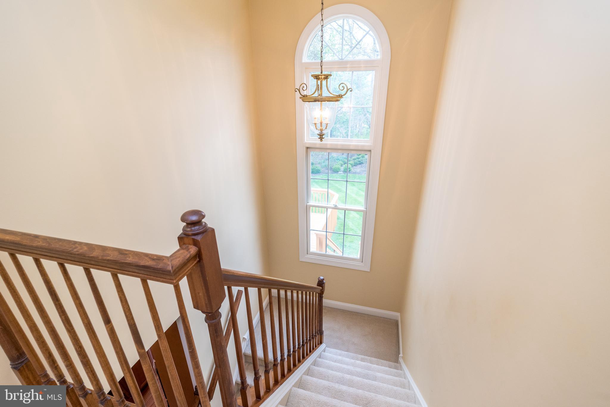 DARK HOLLOW - Residential