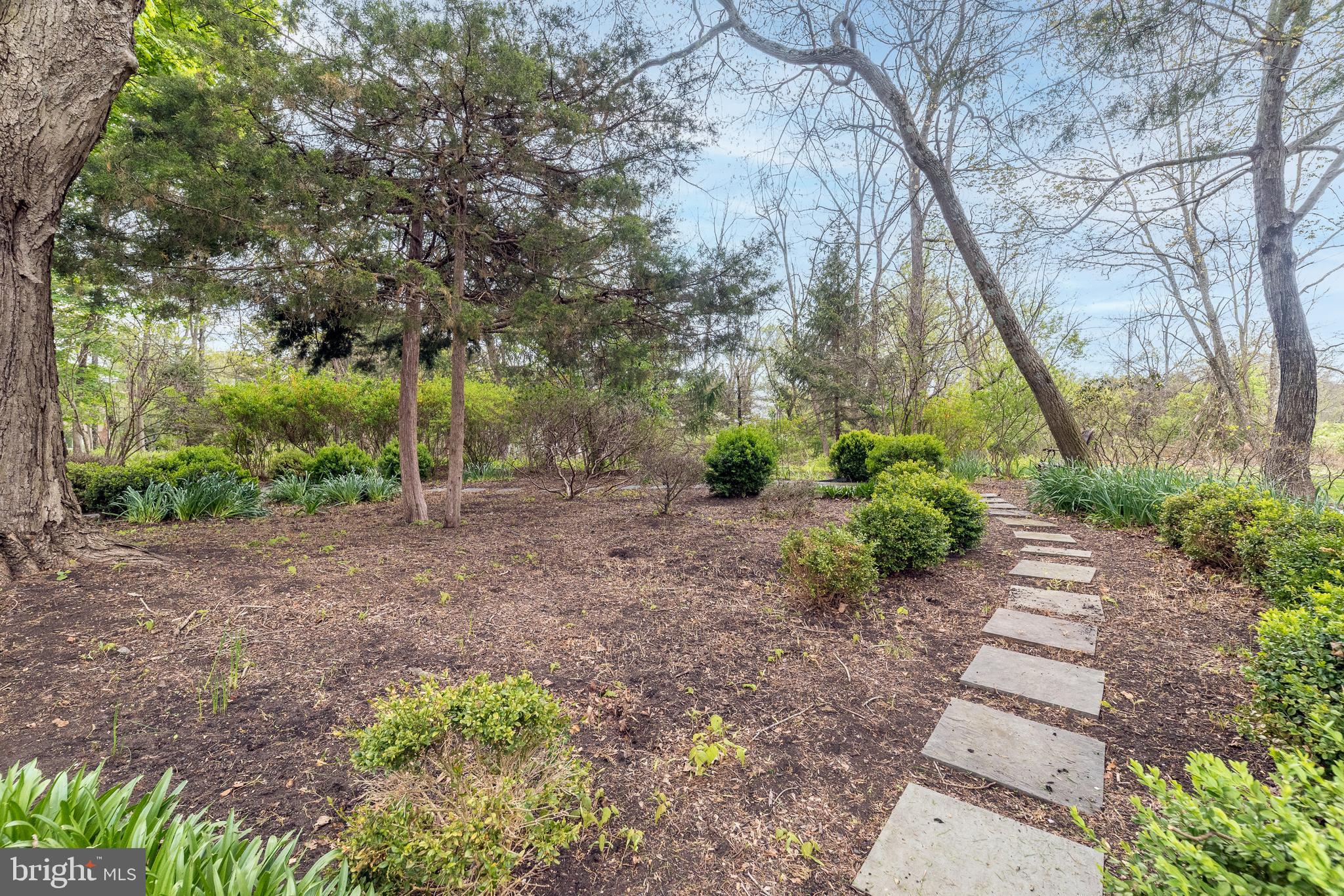 DARK HOLLOW - Residential