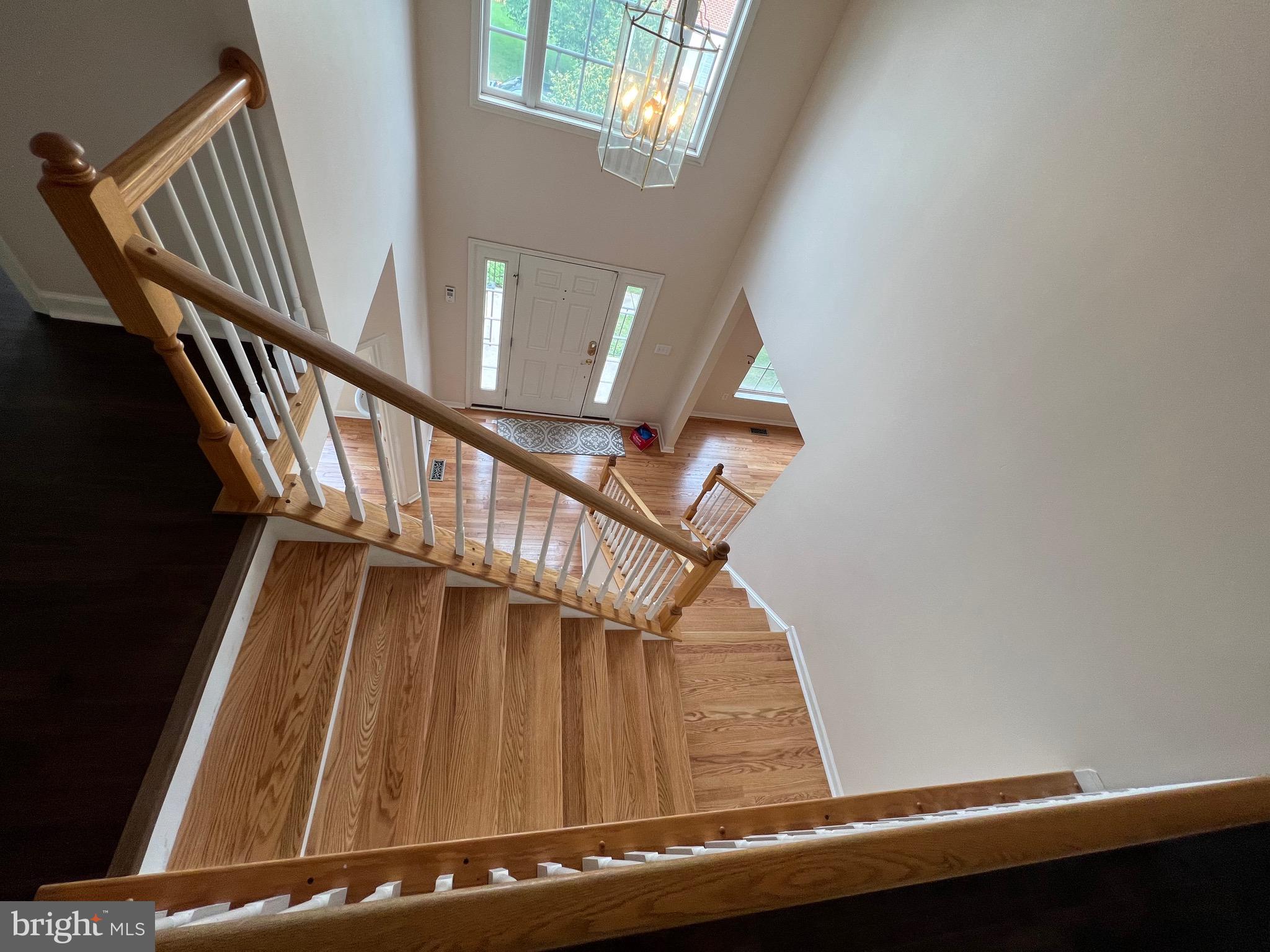 RIDGE FOREST GLEN - Residential Lease