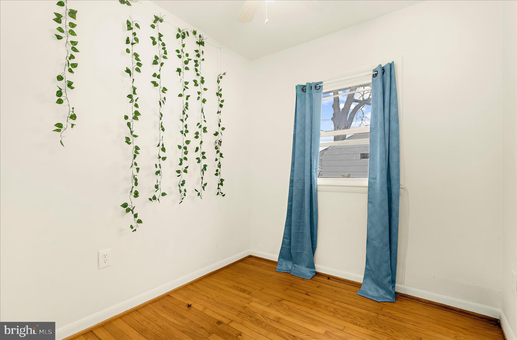 CLEARWATER BEACH - Residential