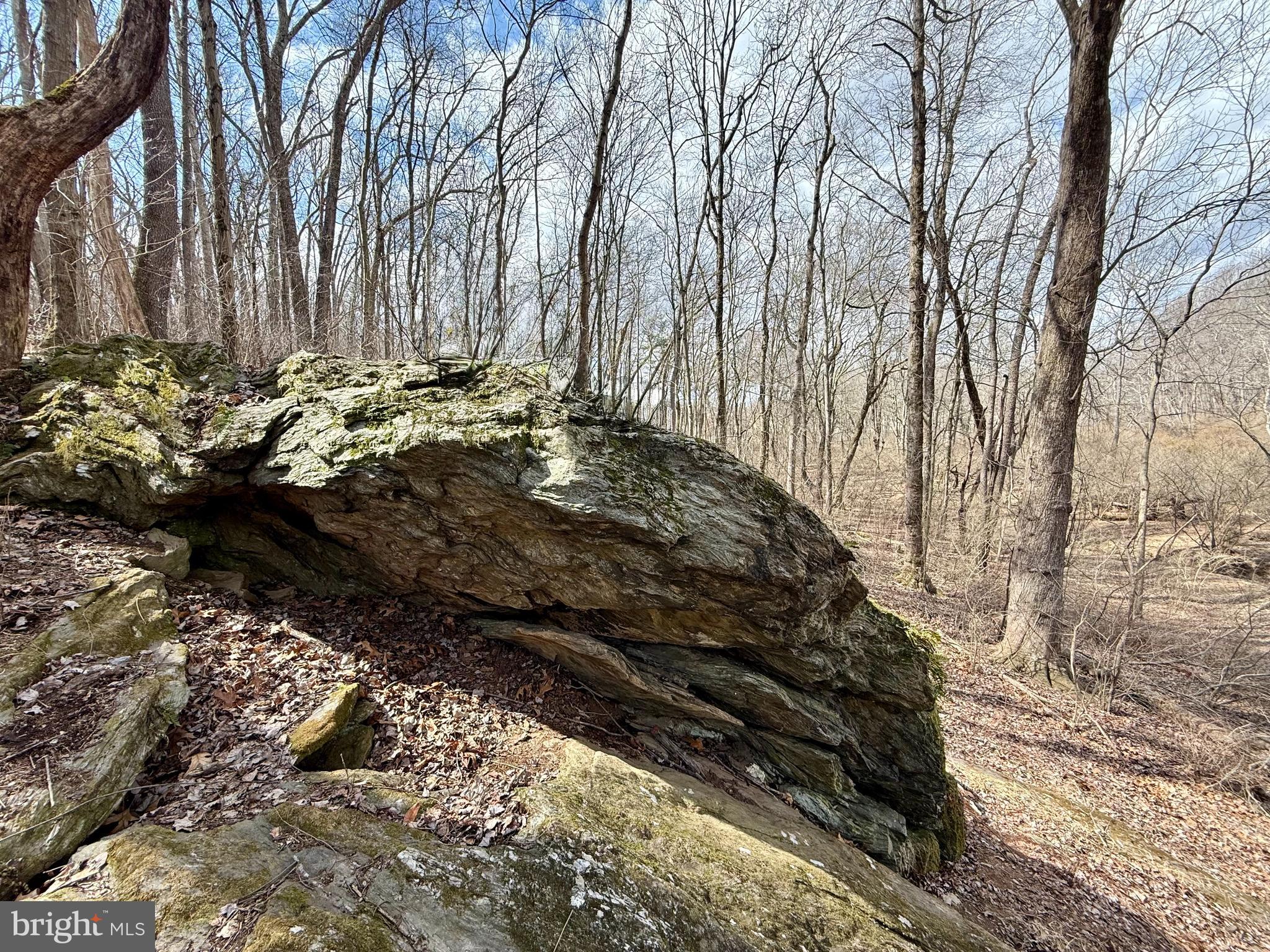 BOLLINGER ESTATES - Residential