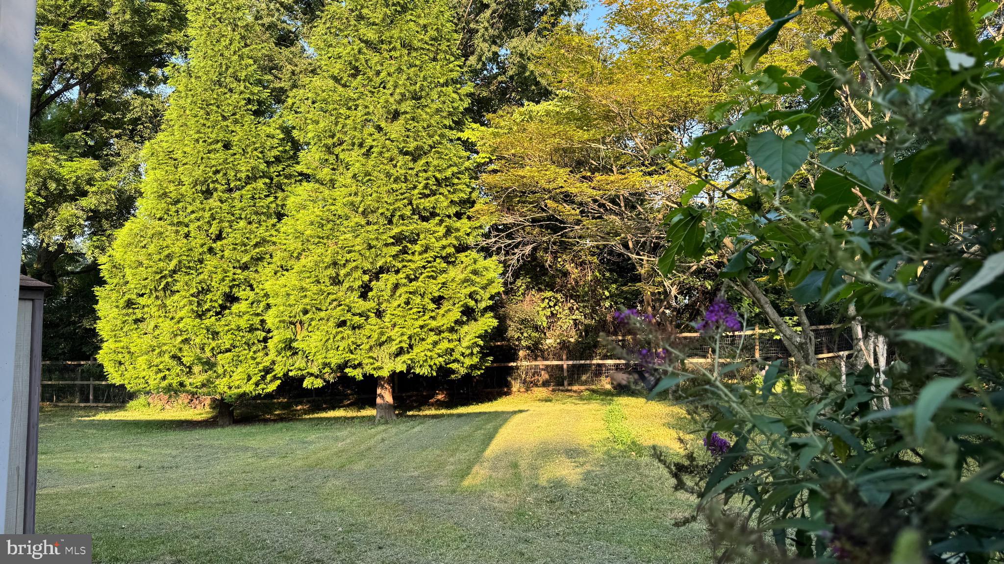 STEVENS FOREST - Residential