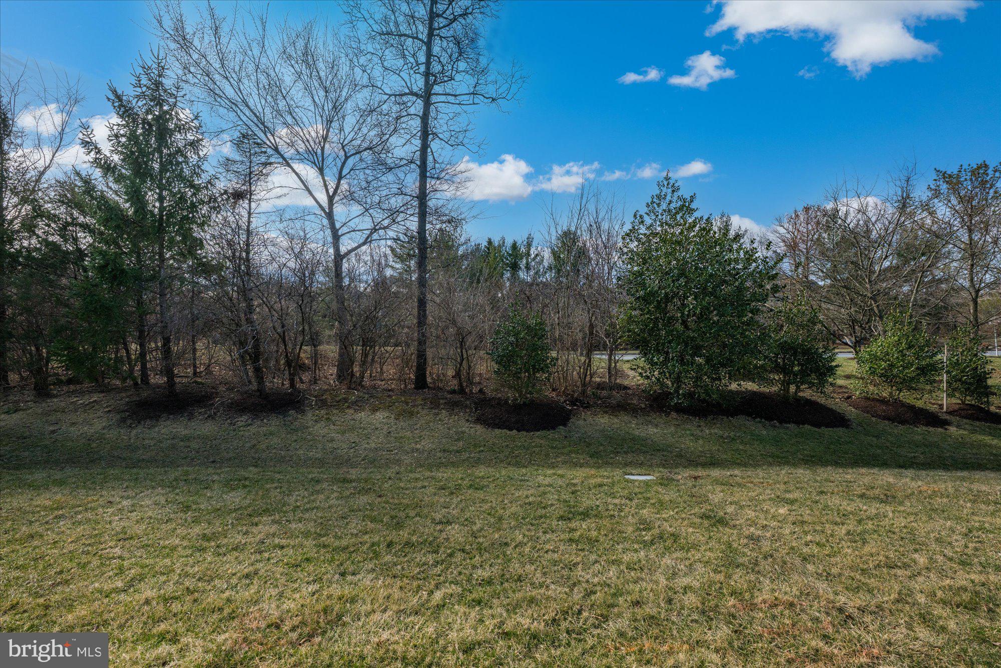 CENTRAL PARKE AT LOWES ISLAND - Residential