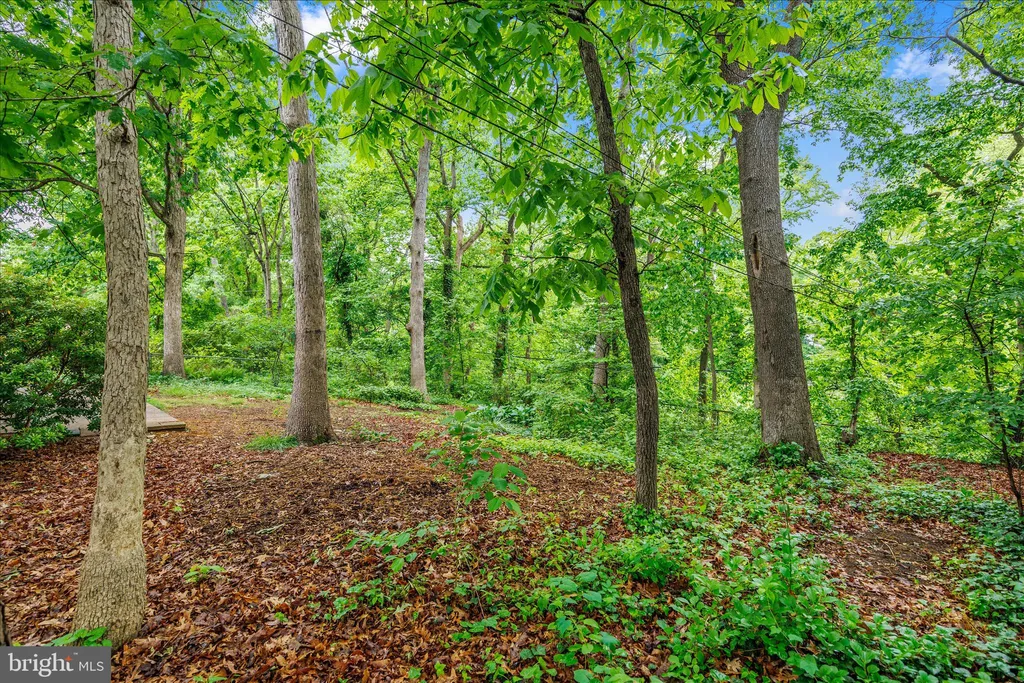 Additional image 43 of 1402 Catlyn Place, Annapolis, MD 21401