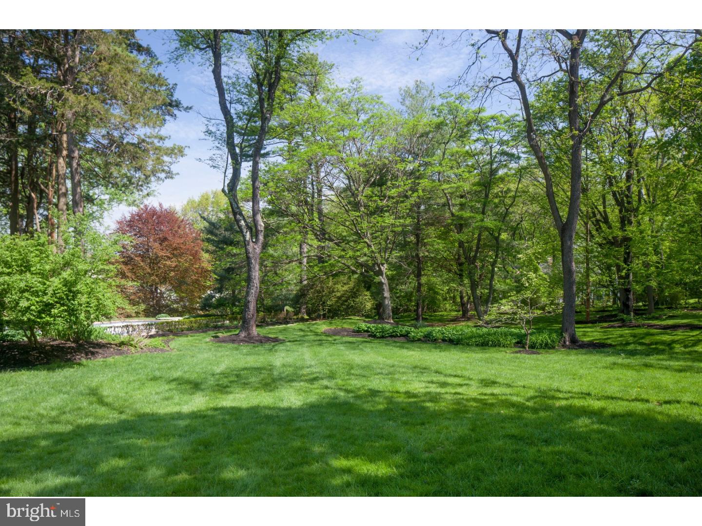 CHESTNUT HILL - Residential