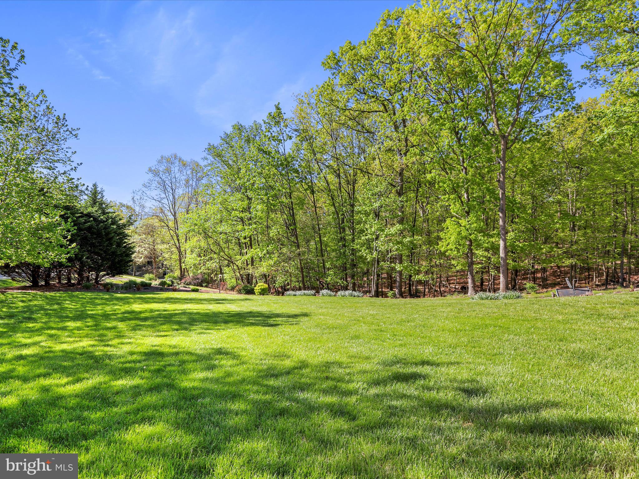 THE WOODS - Residential