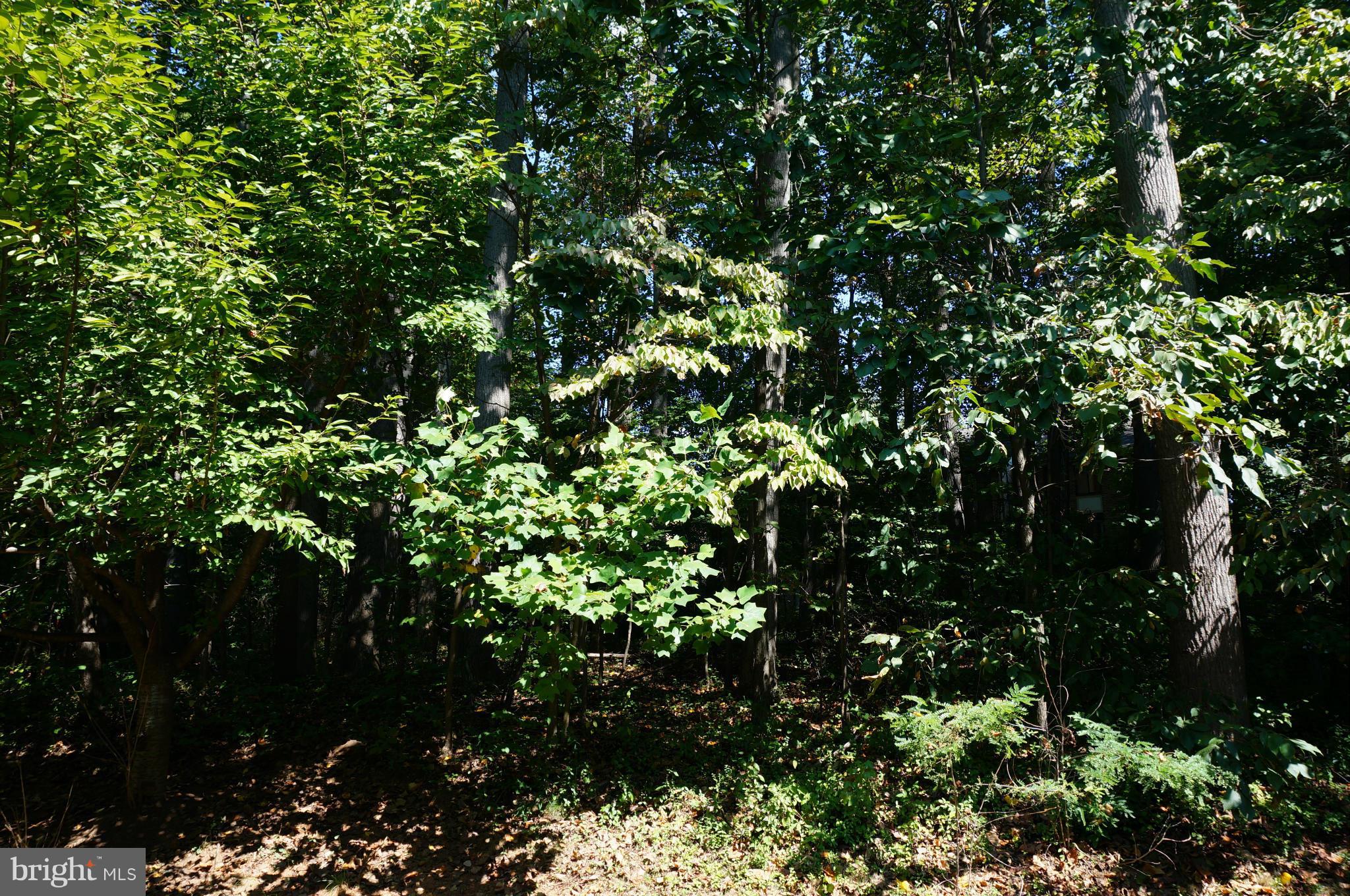 TRAILS AT WOODLOT - Residential Lease