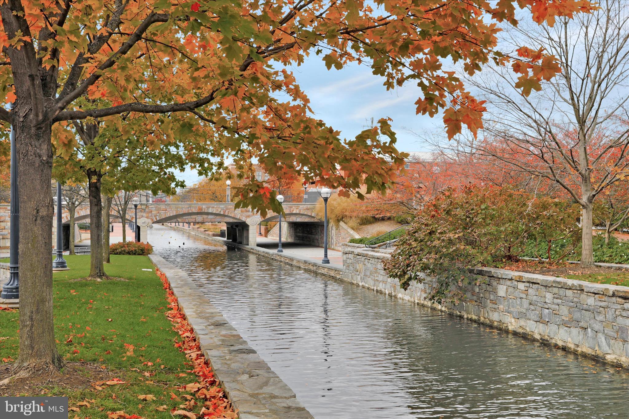 MAXWELL SQUARE - Residential