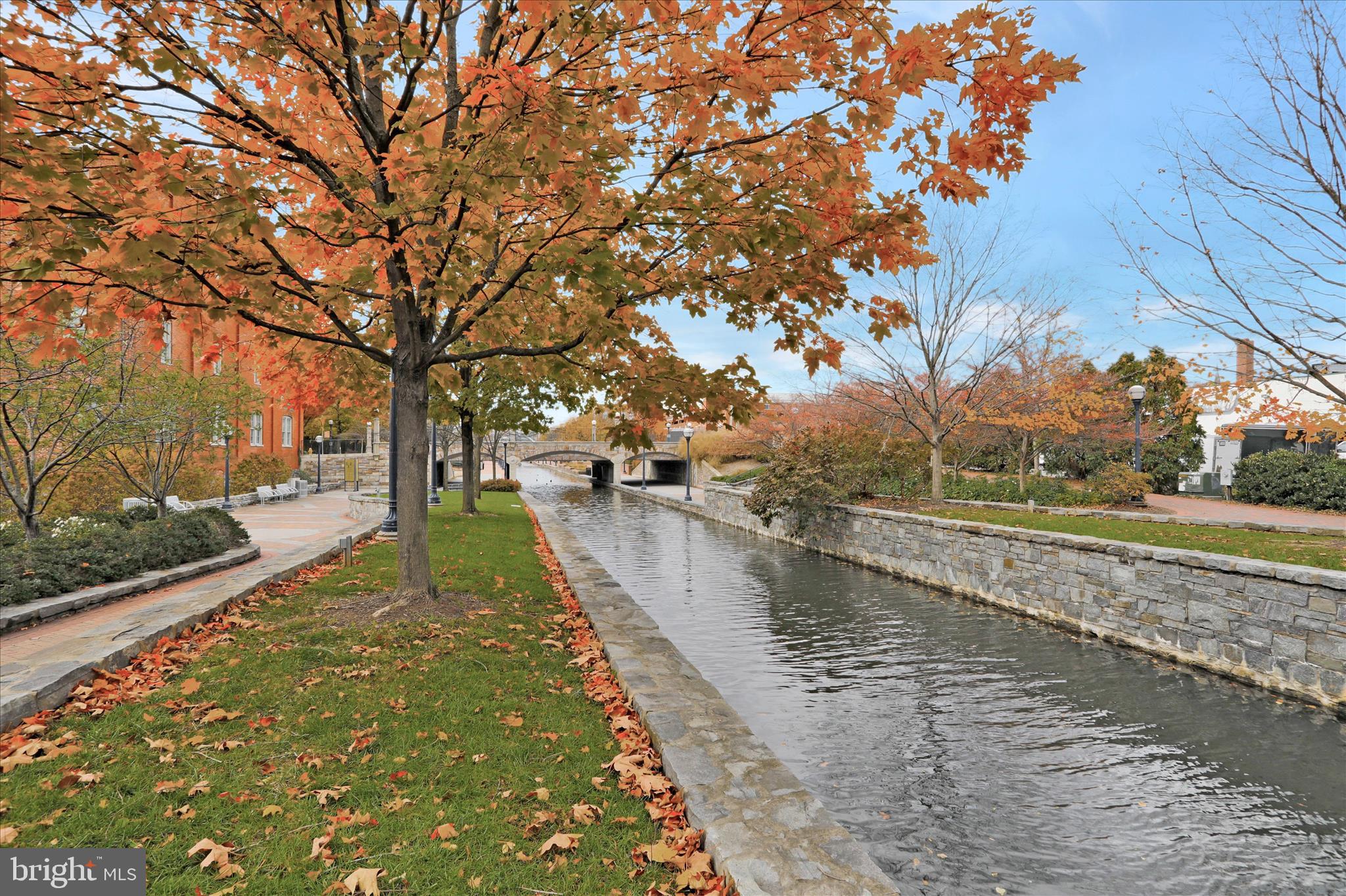 MAXWELL SQUARE - Residential
