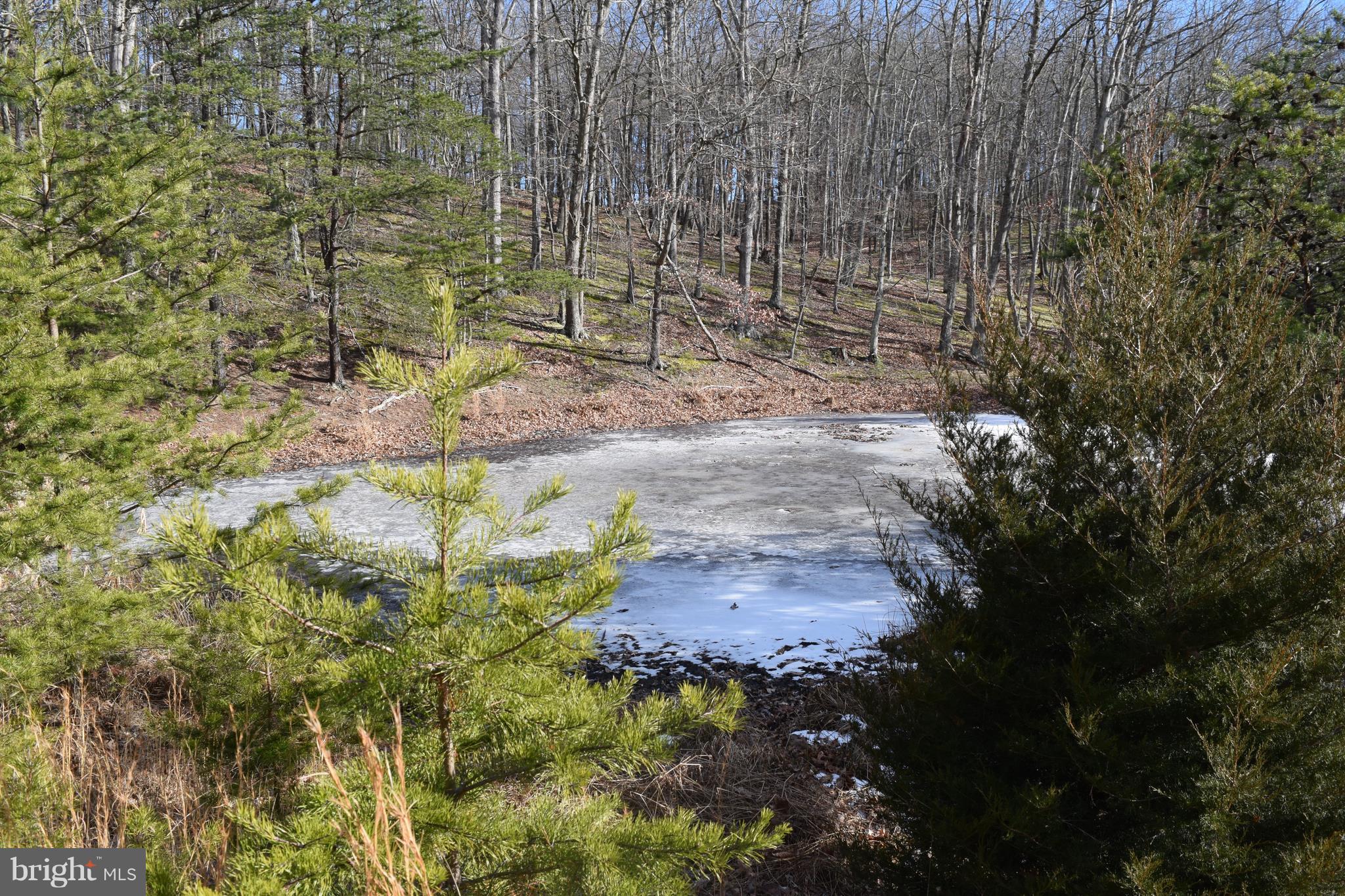 Lot 28 Ewing 4.33 ac with pond