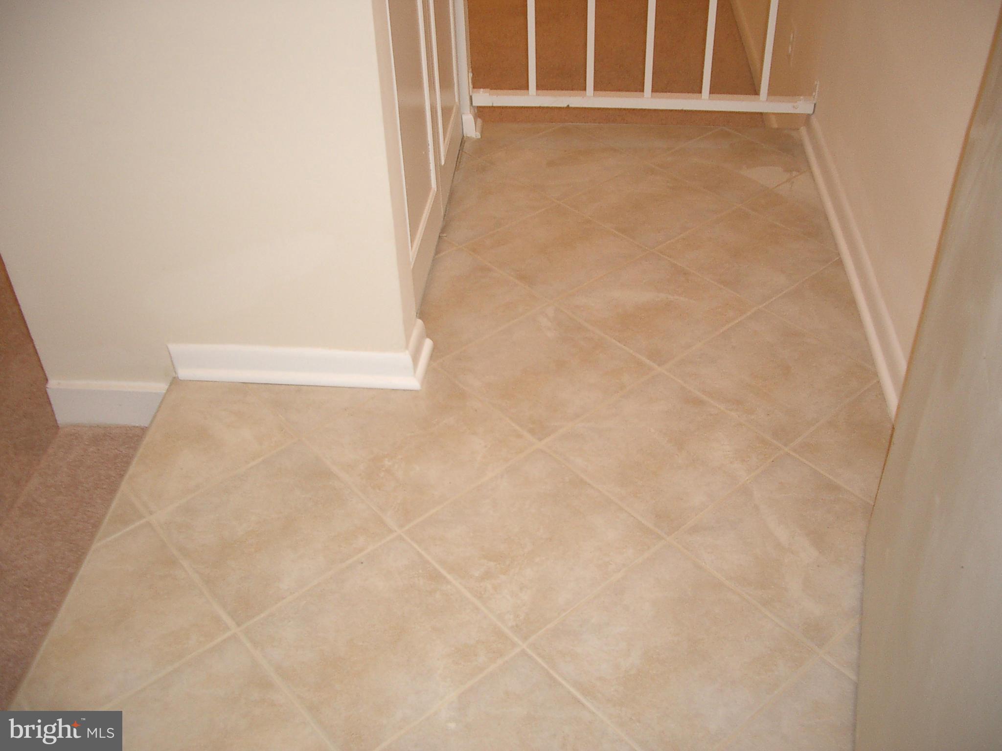 11200 CHESTNUT GROVE SQUARE 303