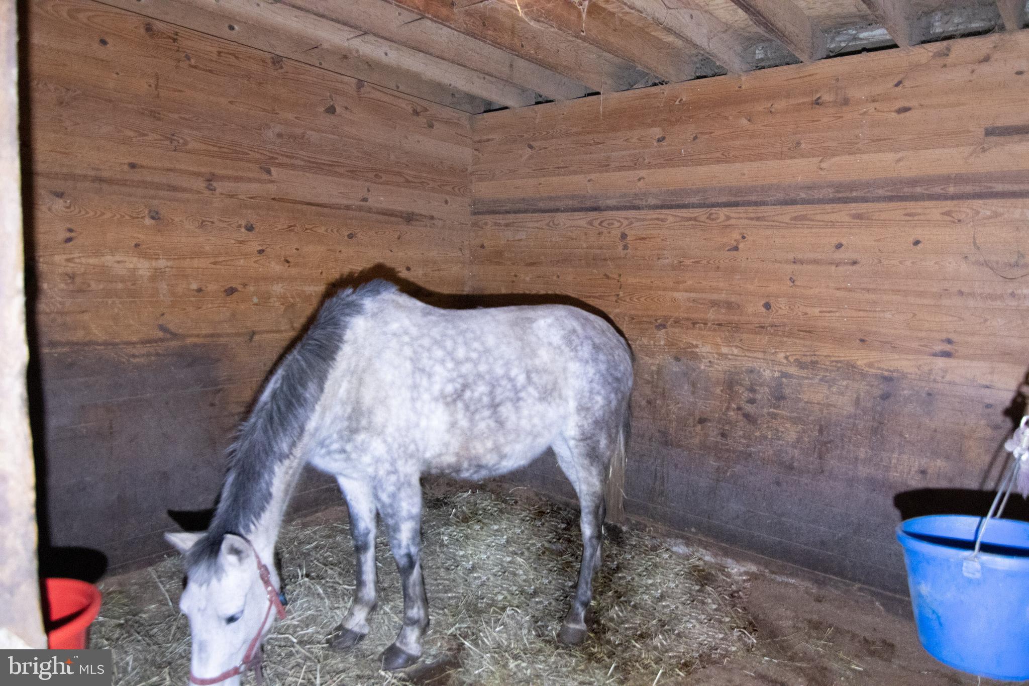 DAVIDSONVILLE - Residential