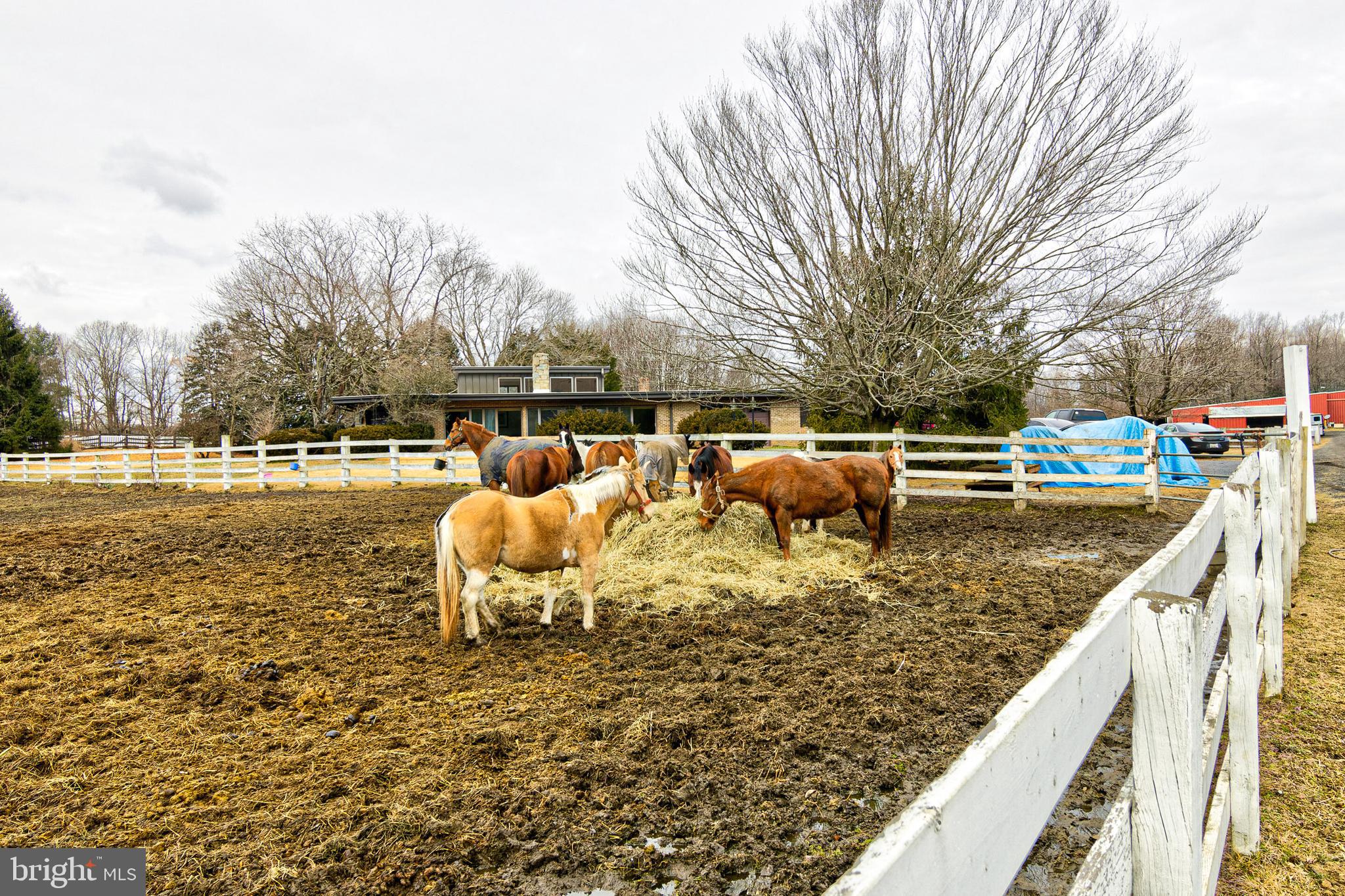 DAVIDSONVILLE - Residential