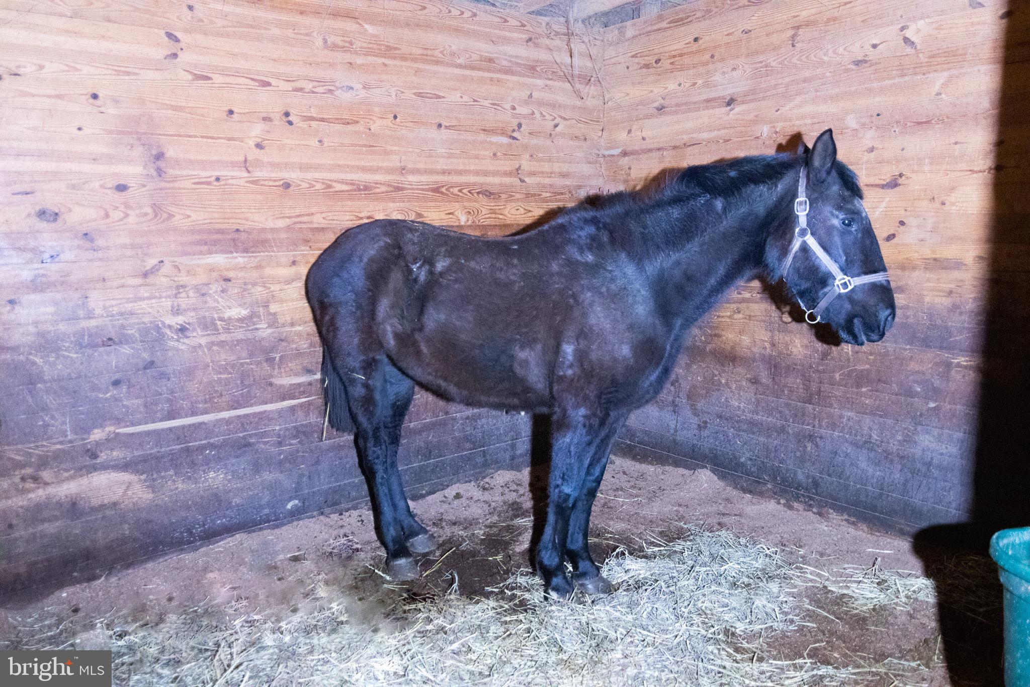 DAVIDSONVILLE - Residential