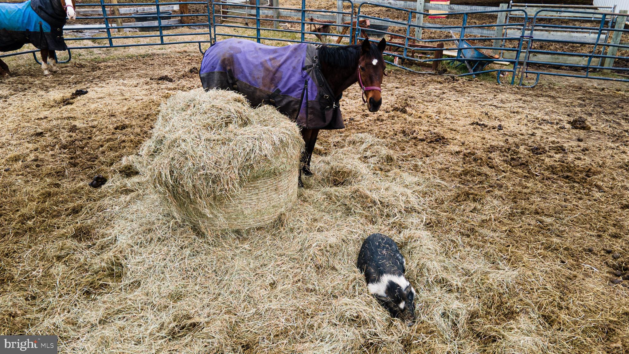 DAVIDSONVILLE - Residential