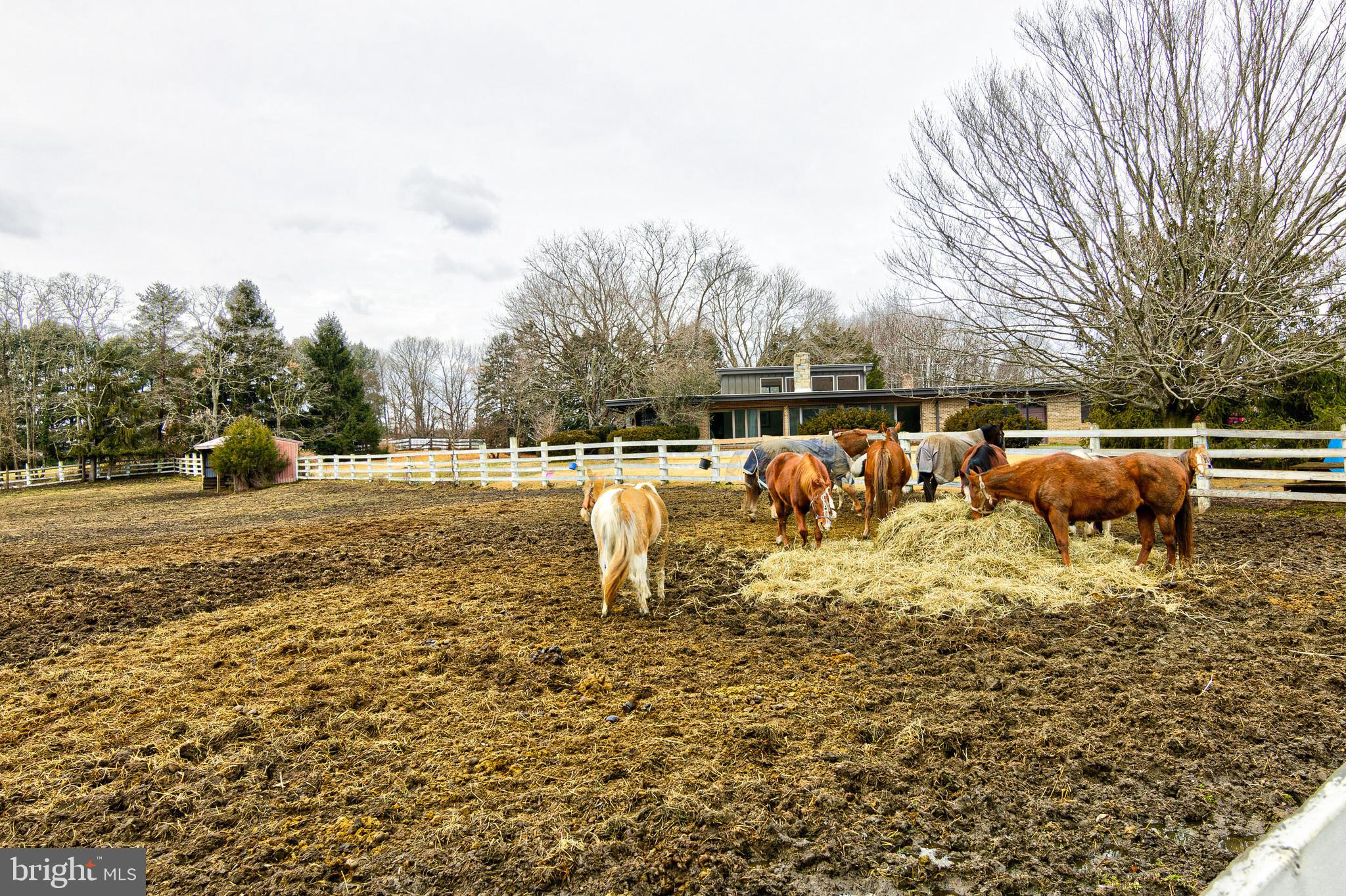 DAVIDSONVILLE - Residential