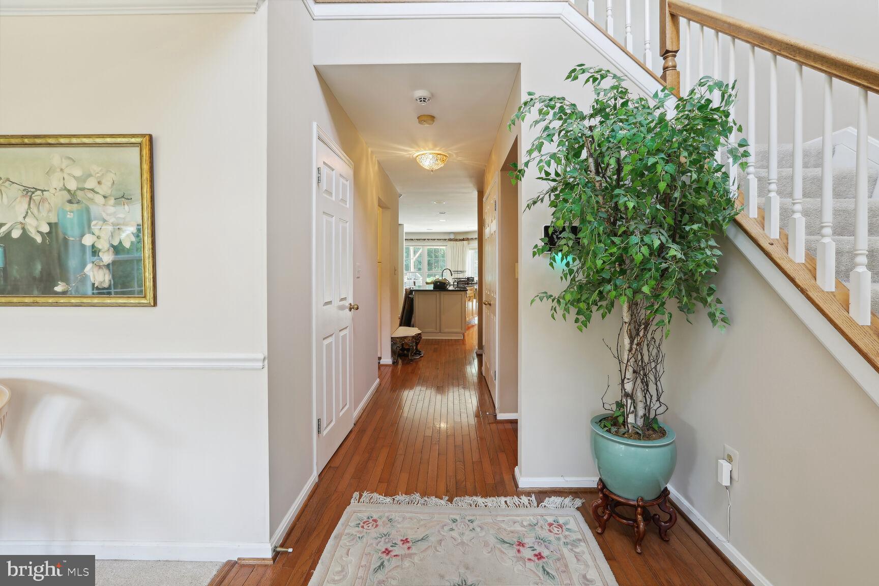 OWINGS MEADOWS - Residential