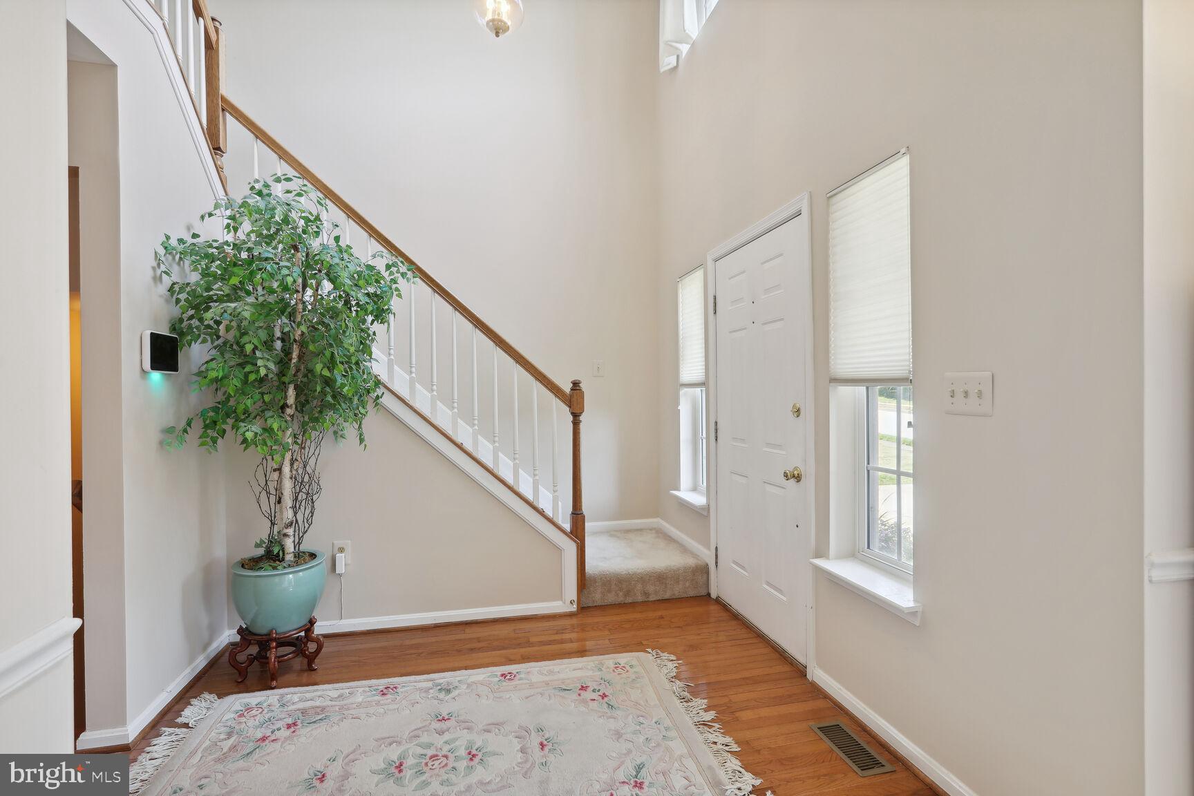 OWINGS MEADOWS - Residential