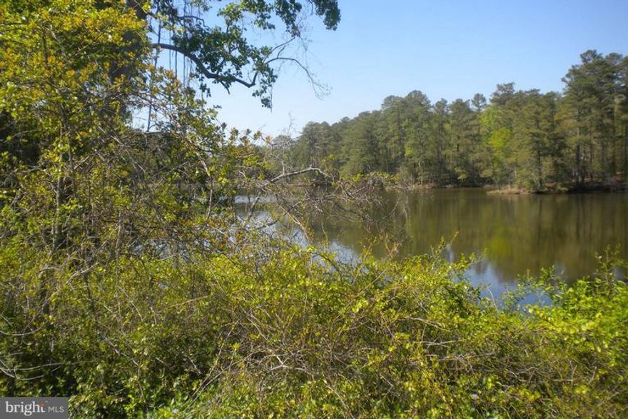 Gorgeous  views await you on this 2+ acre property.  Enjoy relaxing while you canoe on Belvedere Creek. Perc approved lot in a desirable waterfront c community. Includes Lot 3 and Out lot A. No access to Potomac River