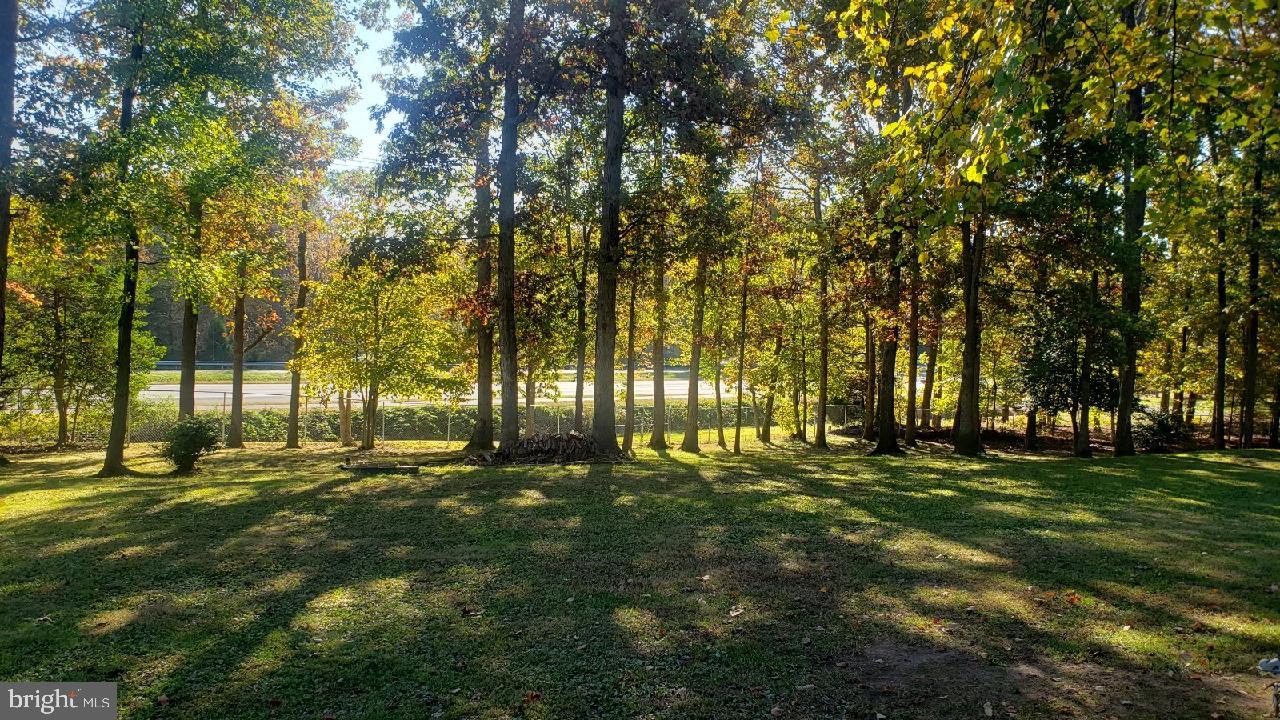 PLANTATION PINES - Residential