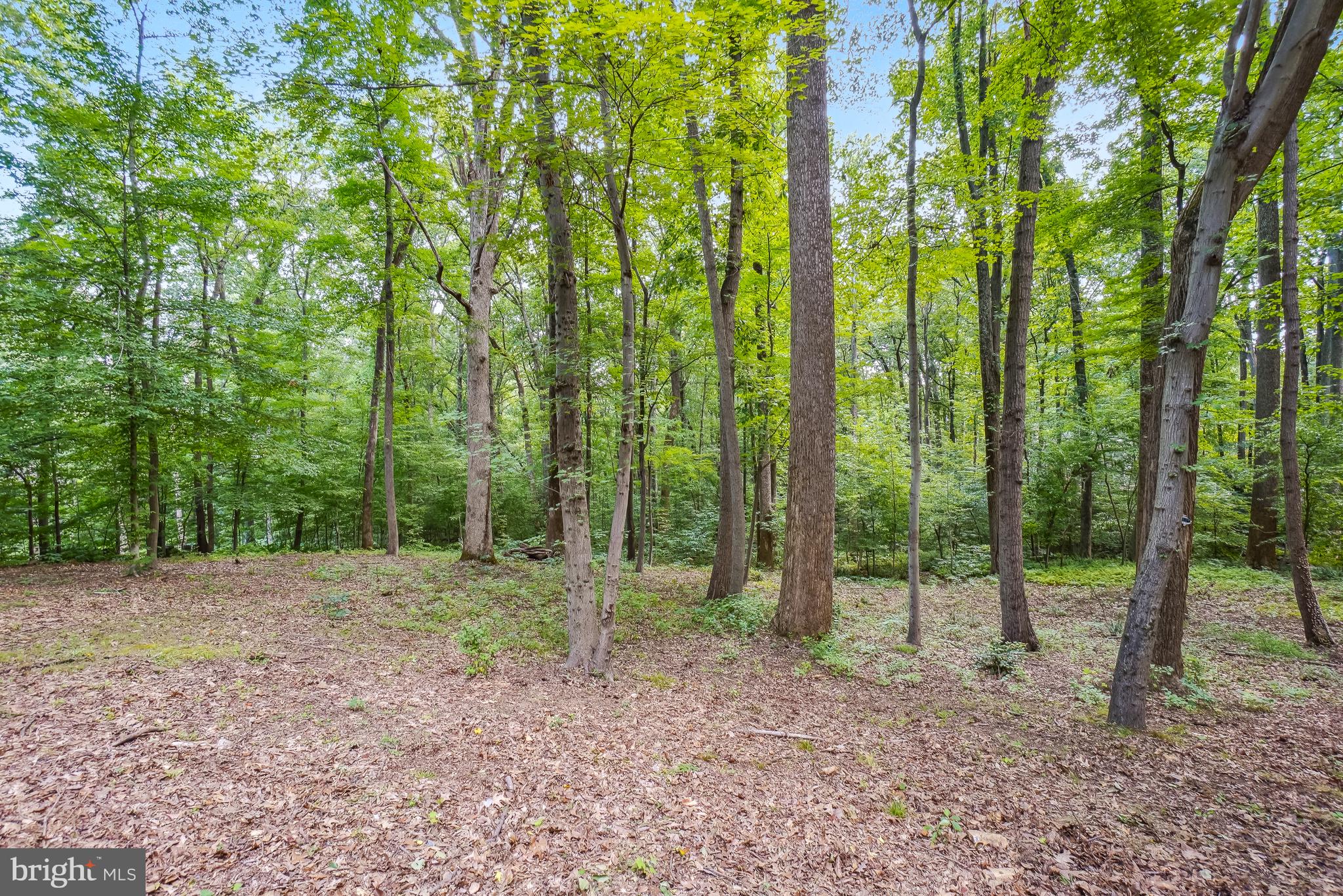 HARBOR HILLS - Residential