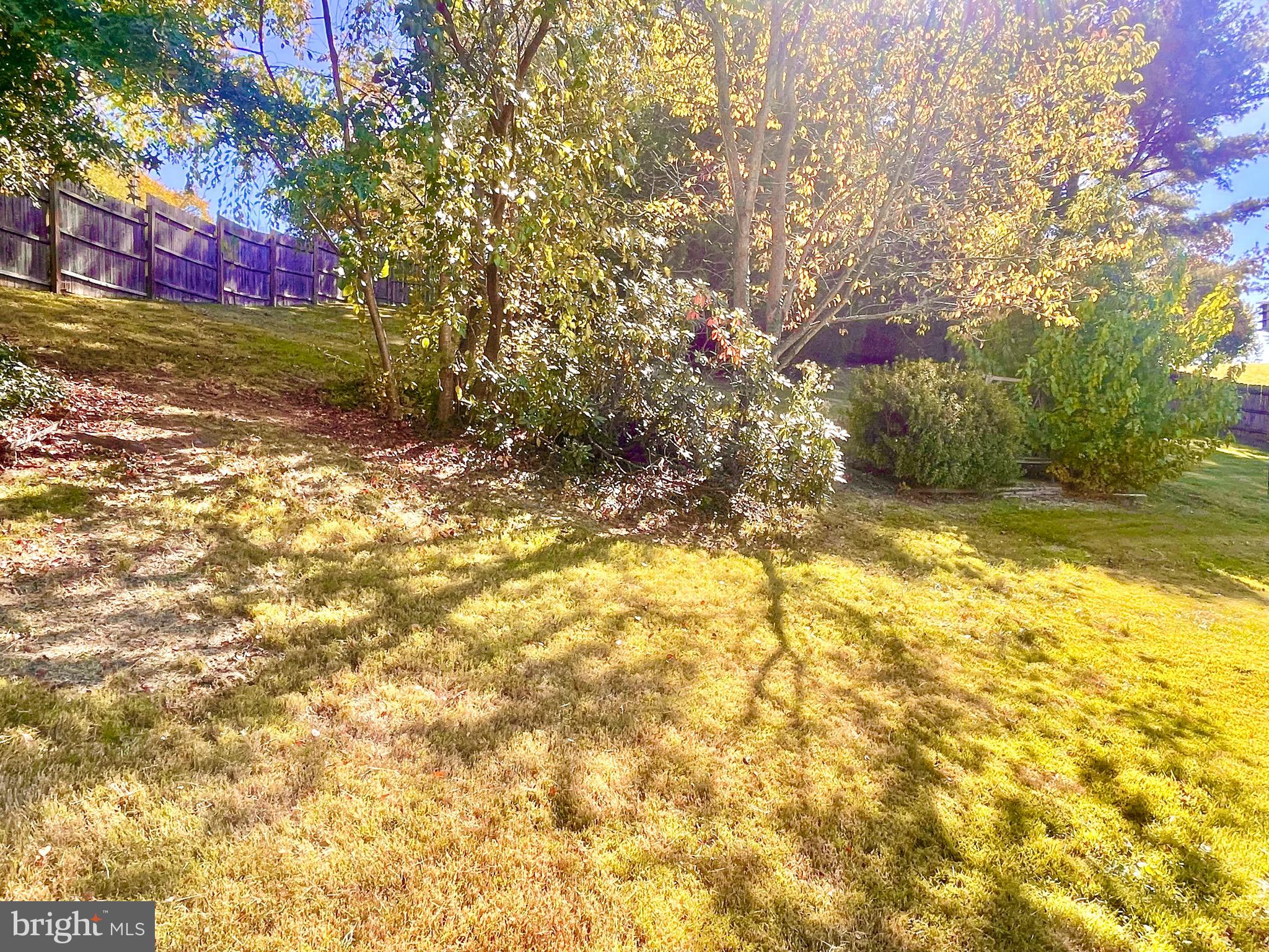 TULIP GROVE AT BELAIR - Residential