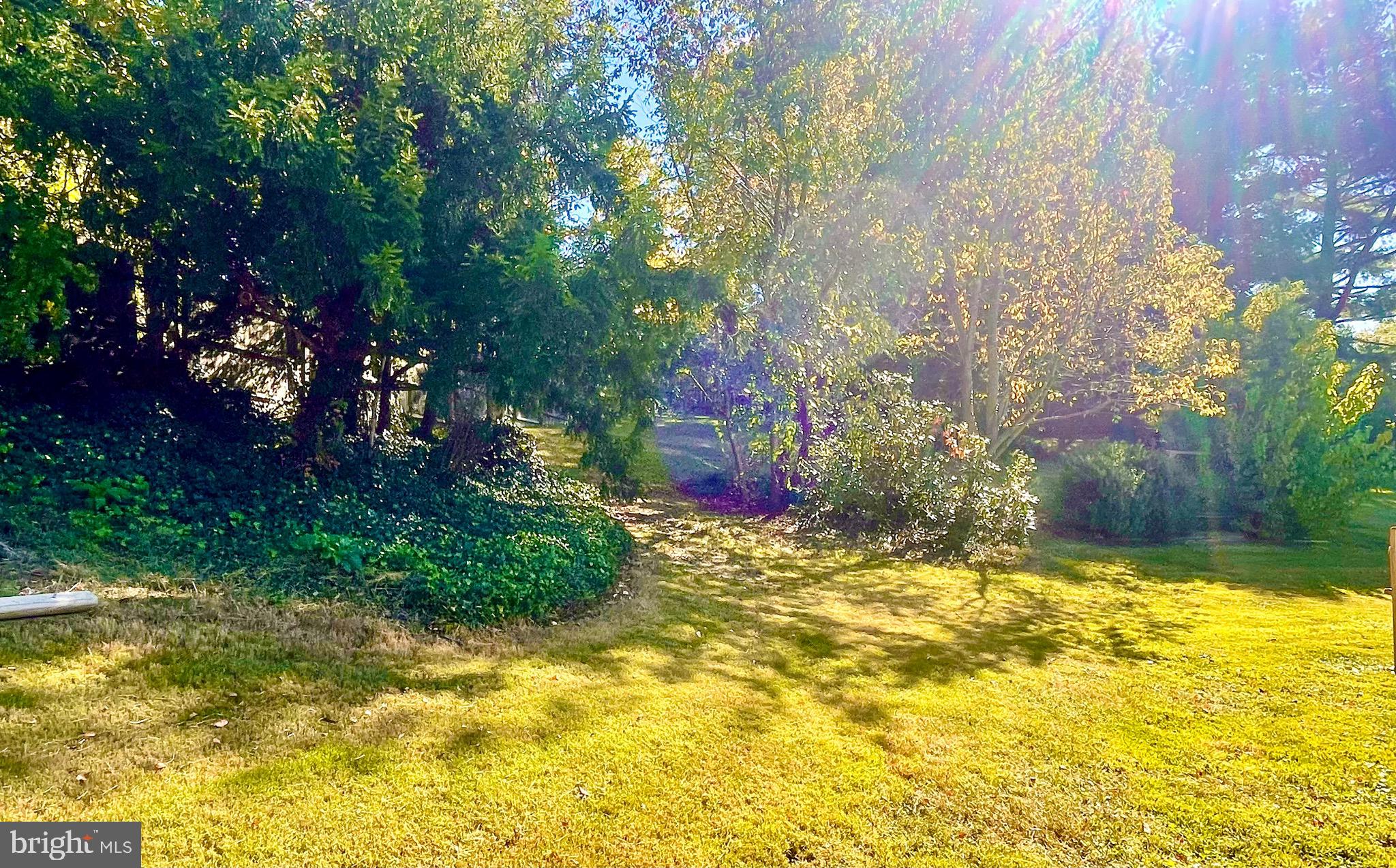 TULIP GROVE AT BELAIR - Residential