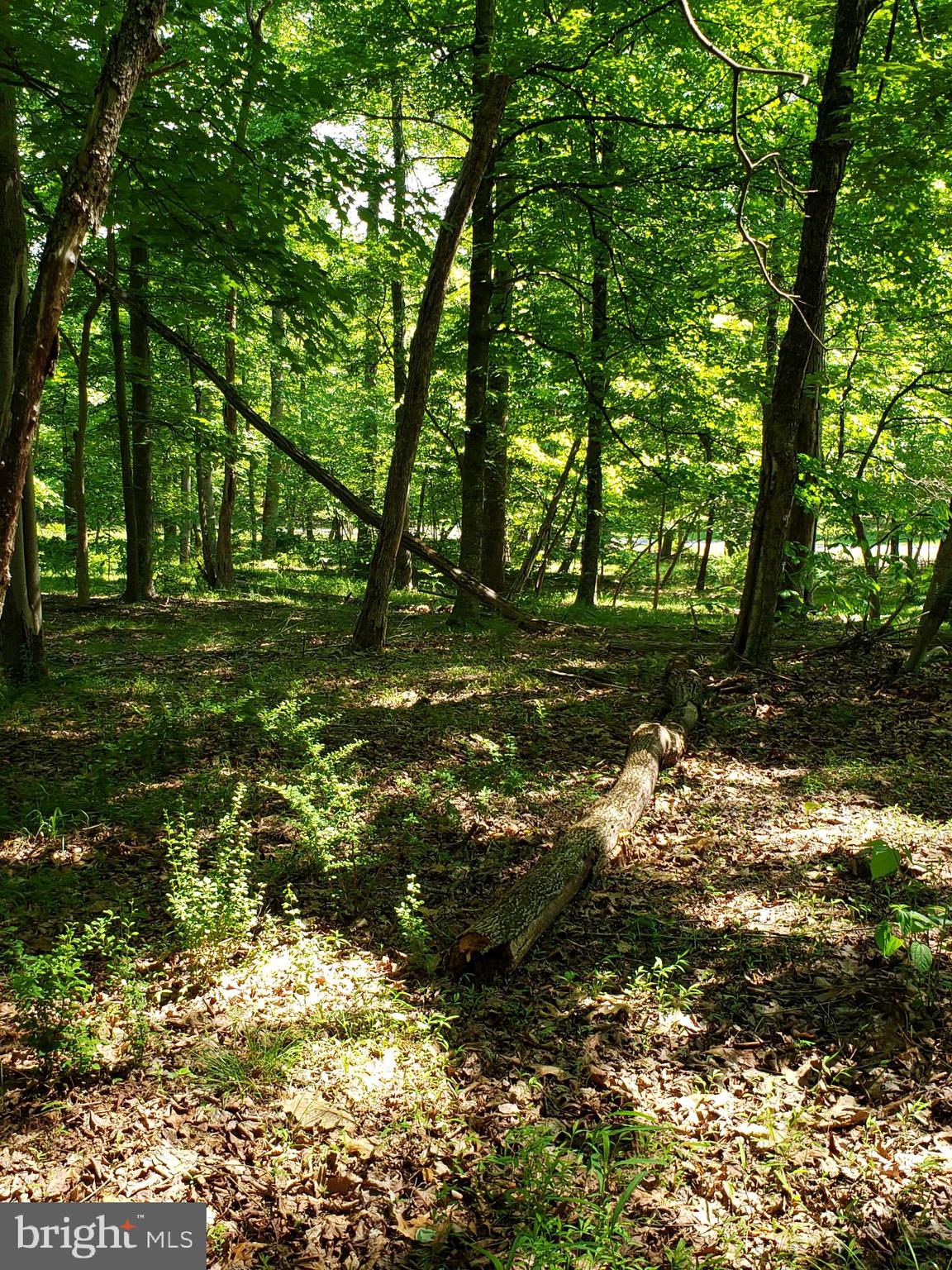 RIVER RIDGE - Residential