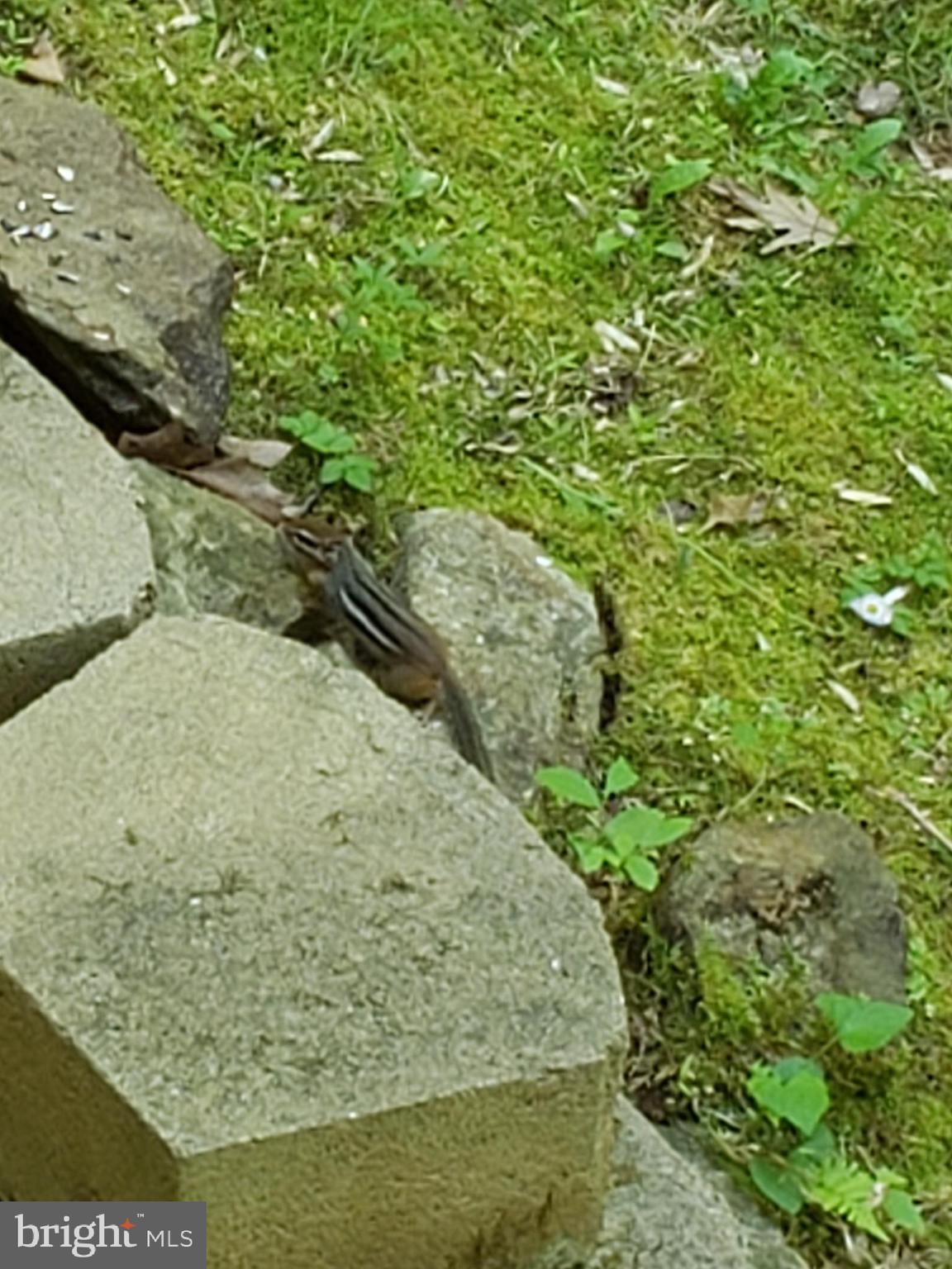 RIVER RIDGE - Residential