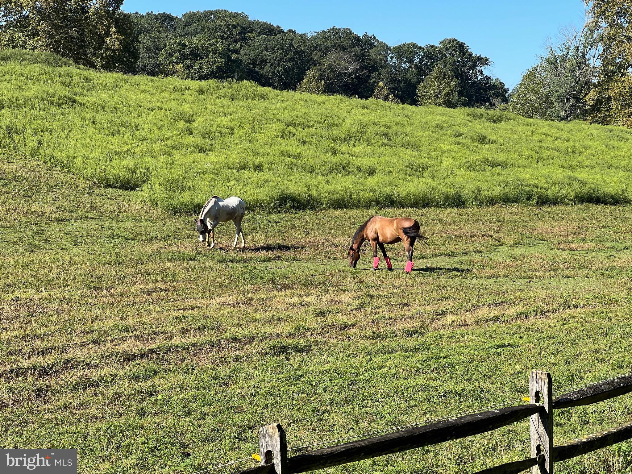 CHARTER CHASE - Residential