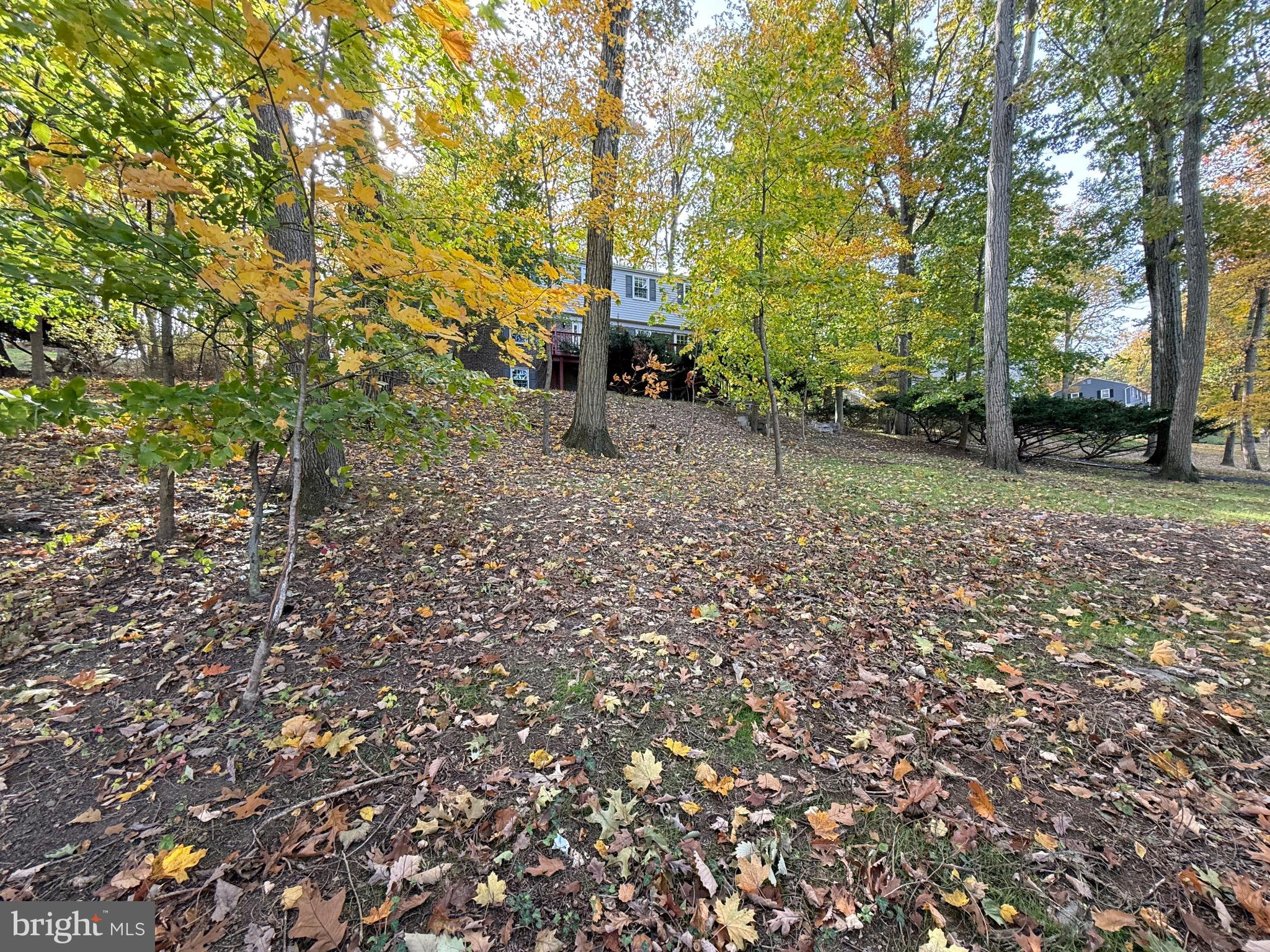 CHARTER CHASE - Residential