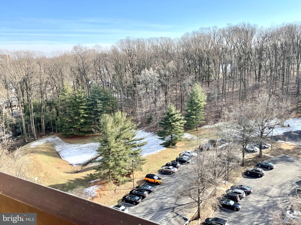 RENAISSANCE AT TYSONS - Residential Lease