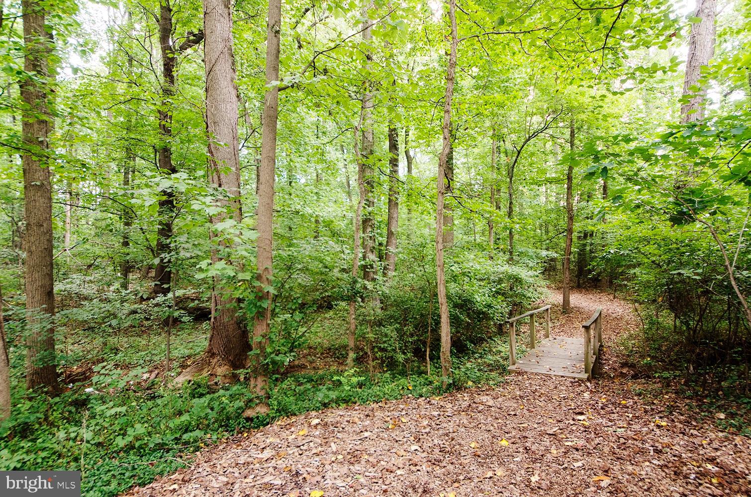 RENAISSANCE AT TYSONS - Residential Lease