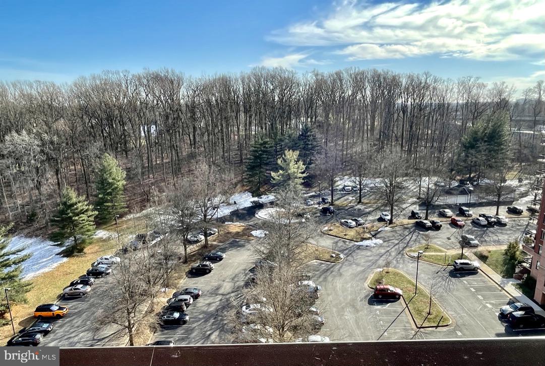 RENAISSANCE AT TYSONS - Residential Lease