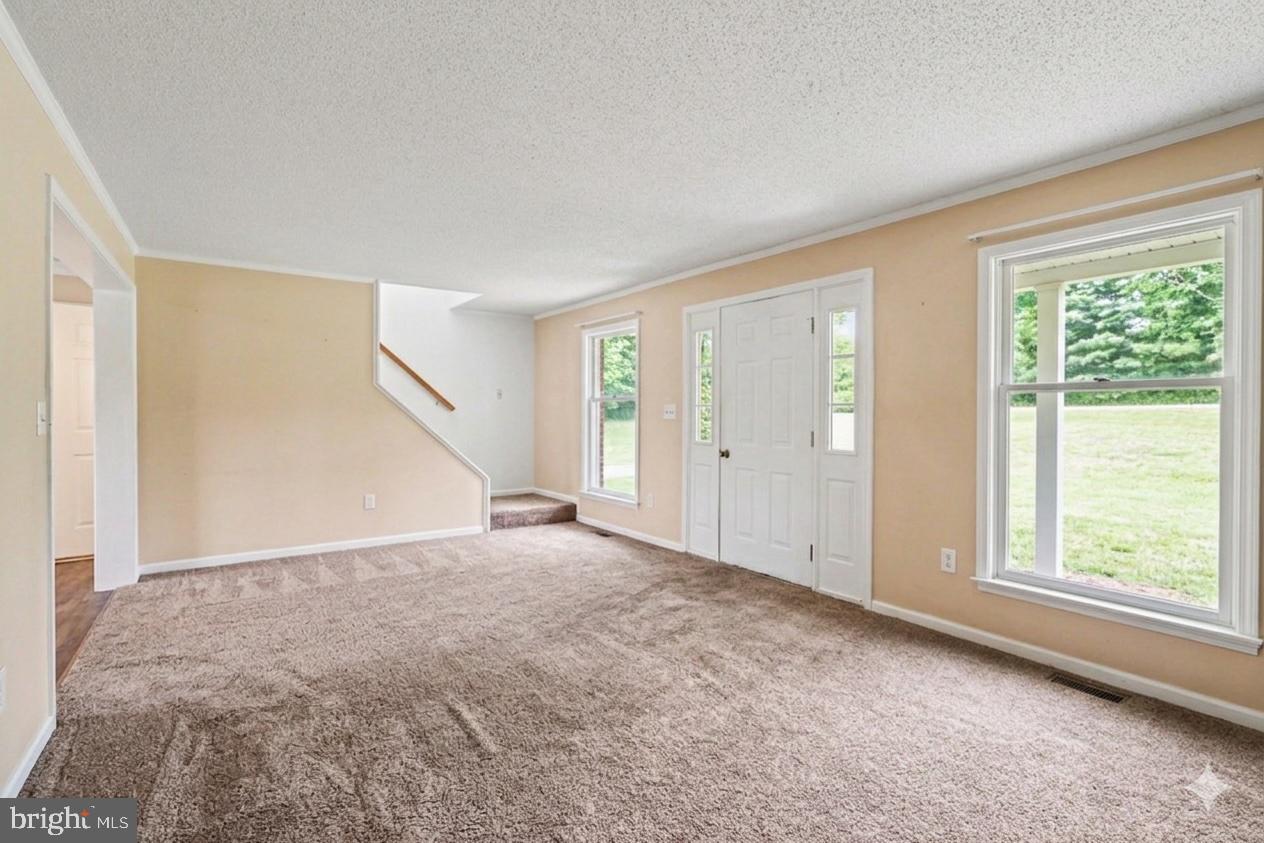 19 FOREST LANE