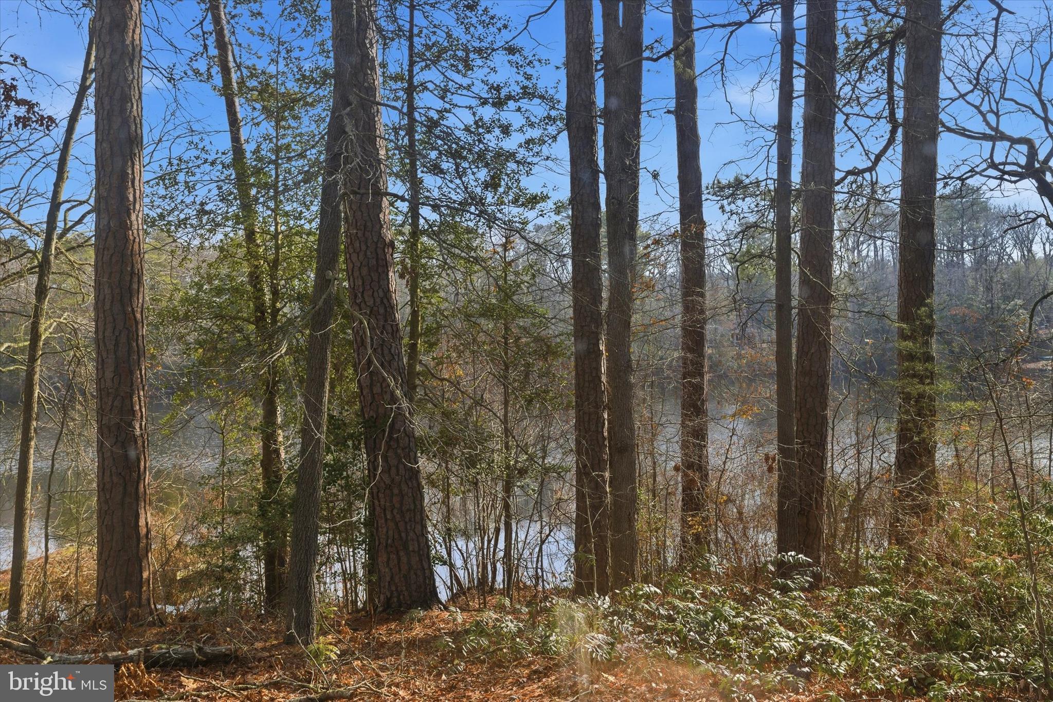 HOLLY LAKE ESTATES - Residential