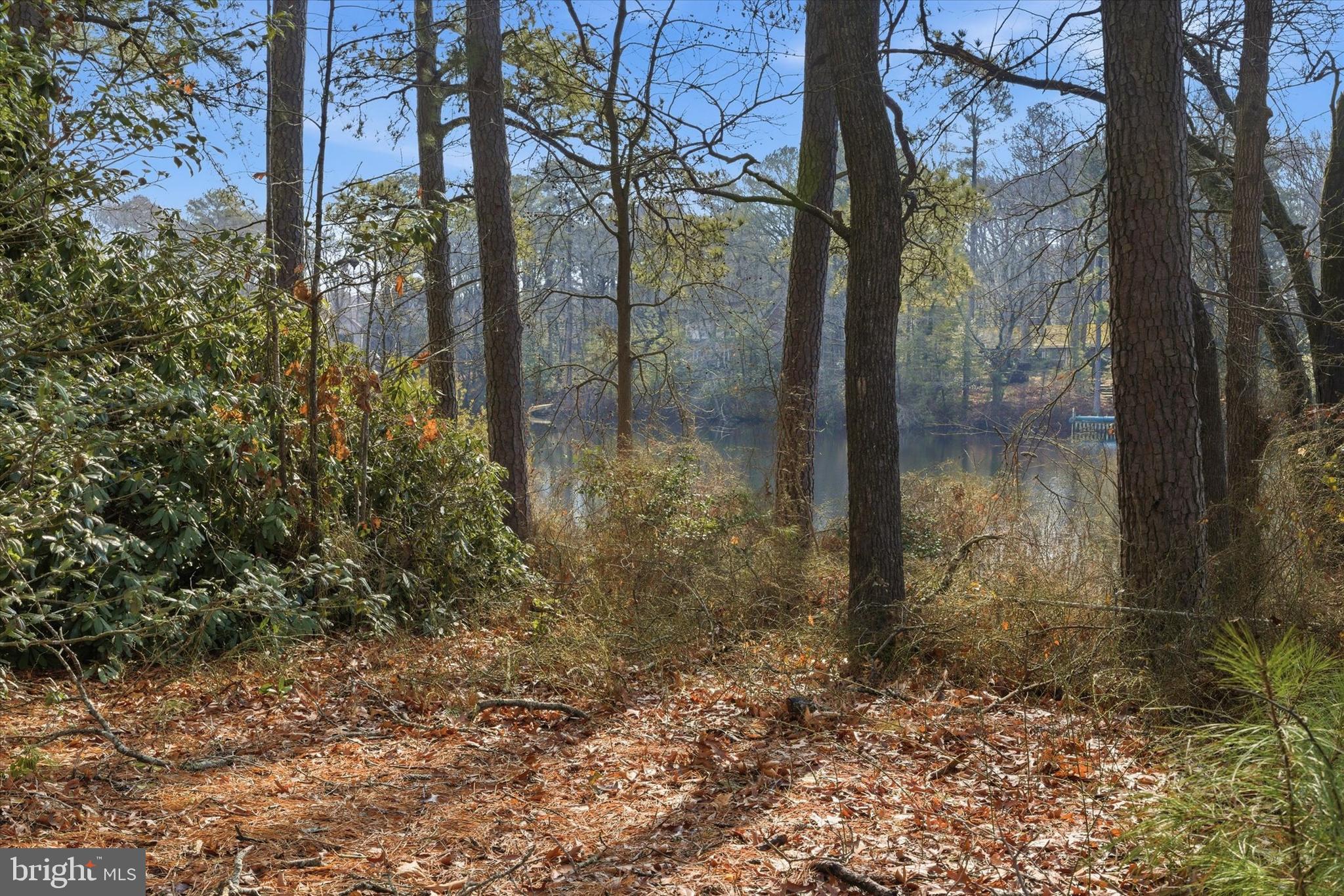 HOLLY LAKE ESTATES - Residential