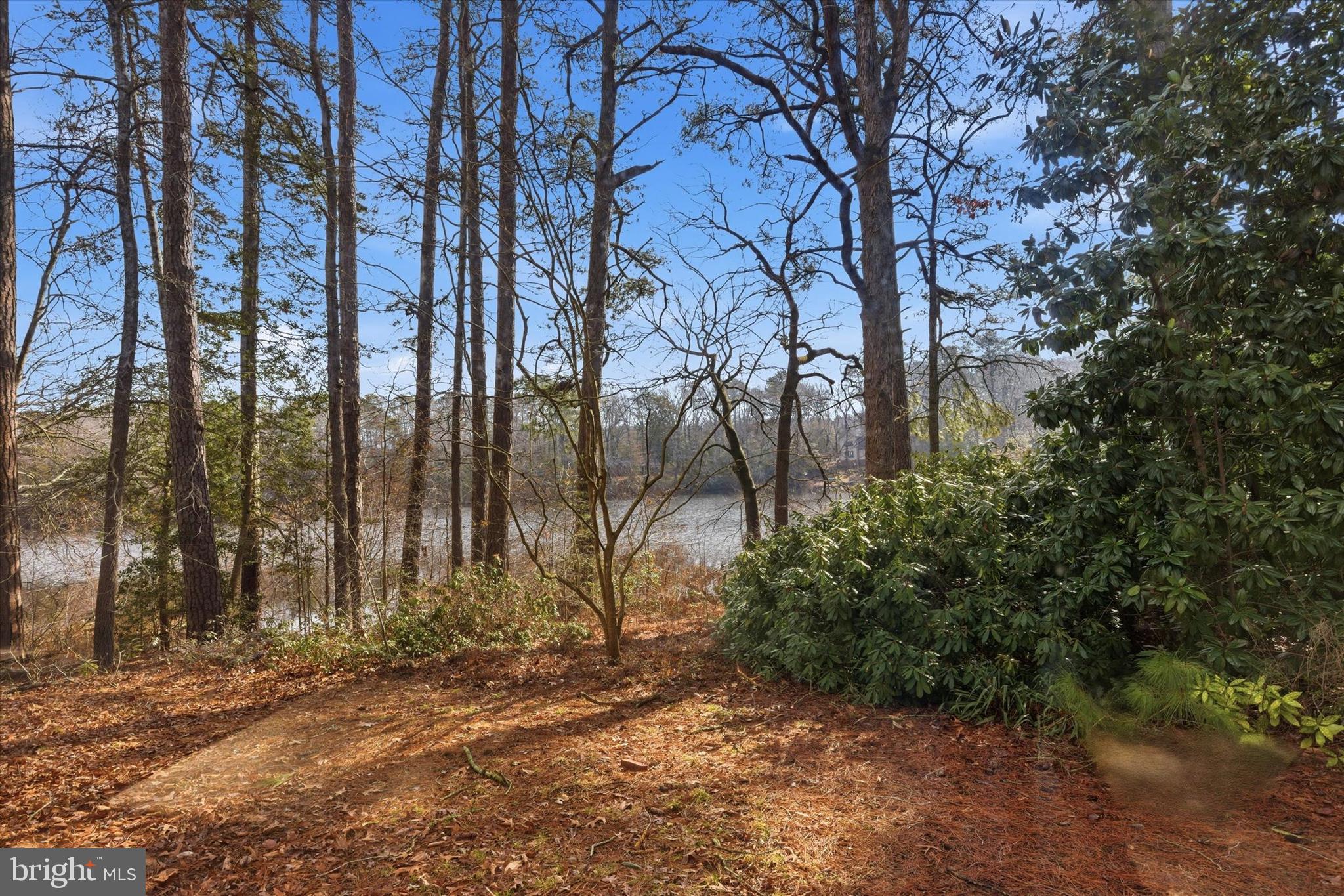 HOLLY LAKE ESTATES - Residential