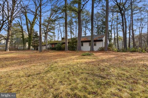 8539 MARLBORO DRIVE DELMAR MD 21875