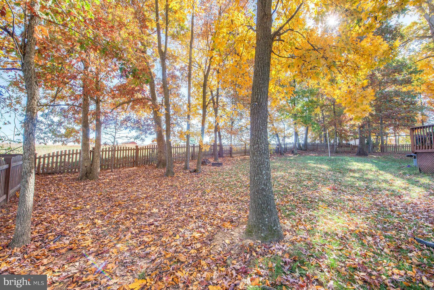 KINGSWOOD - Residential