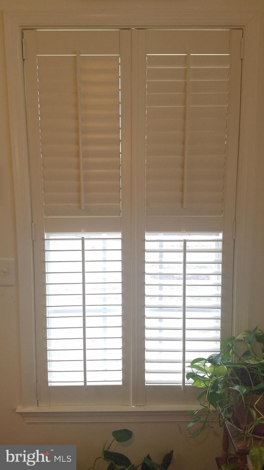 CAMERON GROVE - Residential