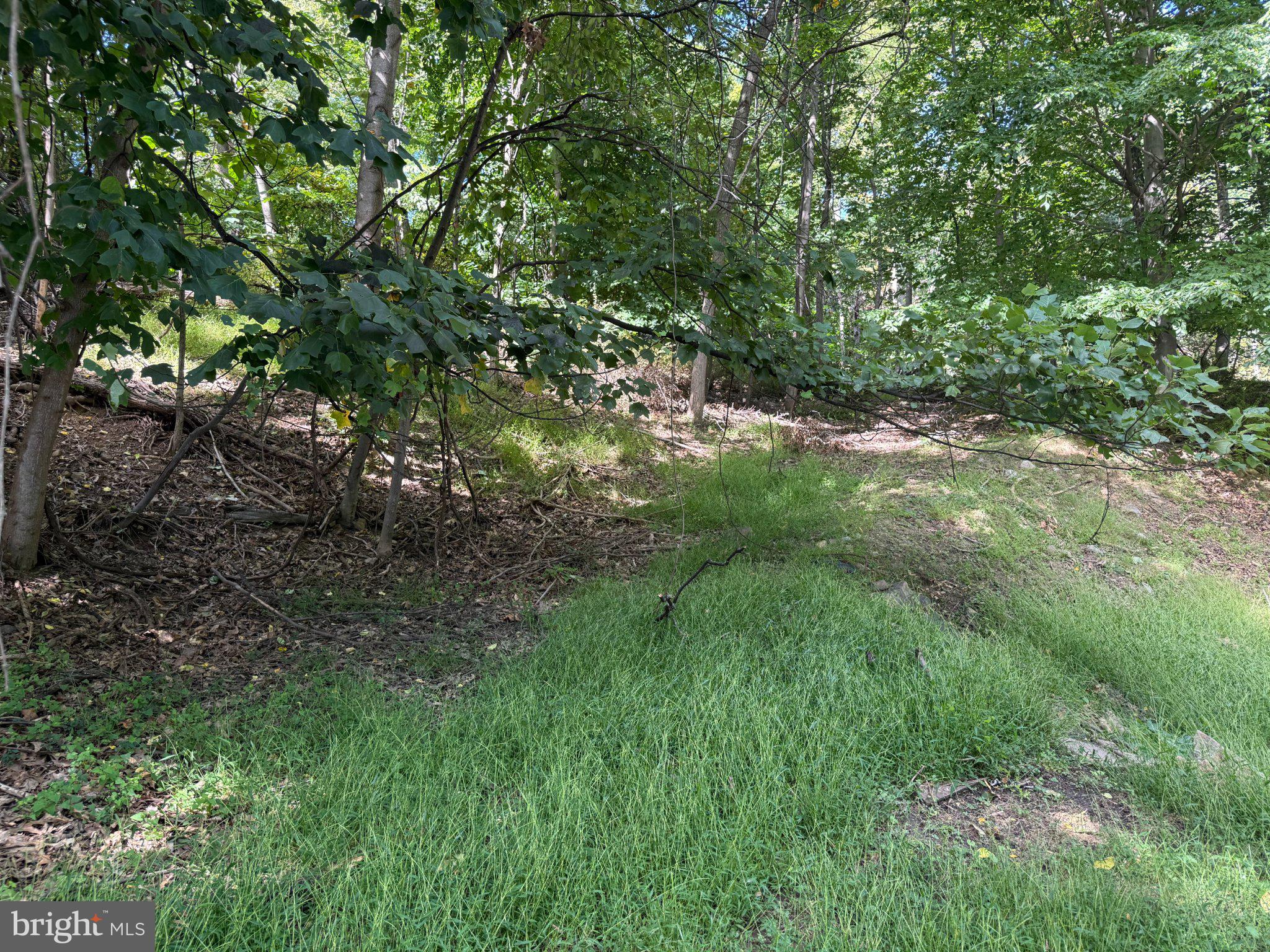 LOT 67 DOGWOOD ROAD