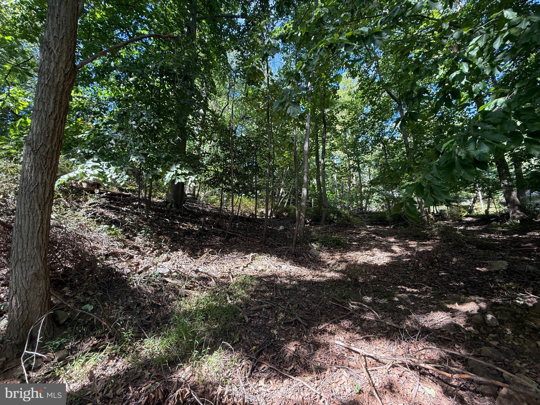 LOT 67 DOGWOOD ROAD