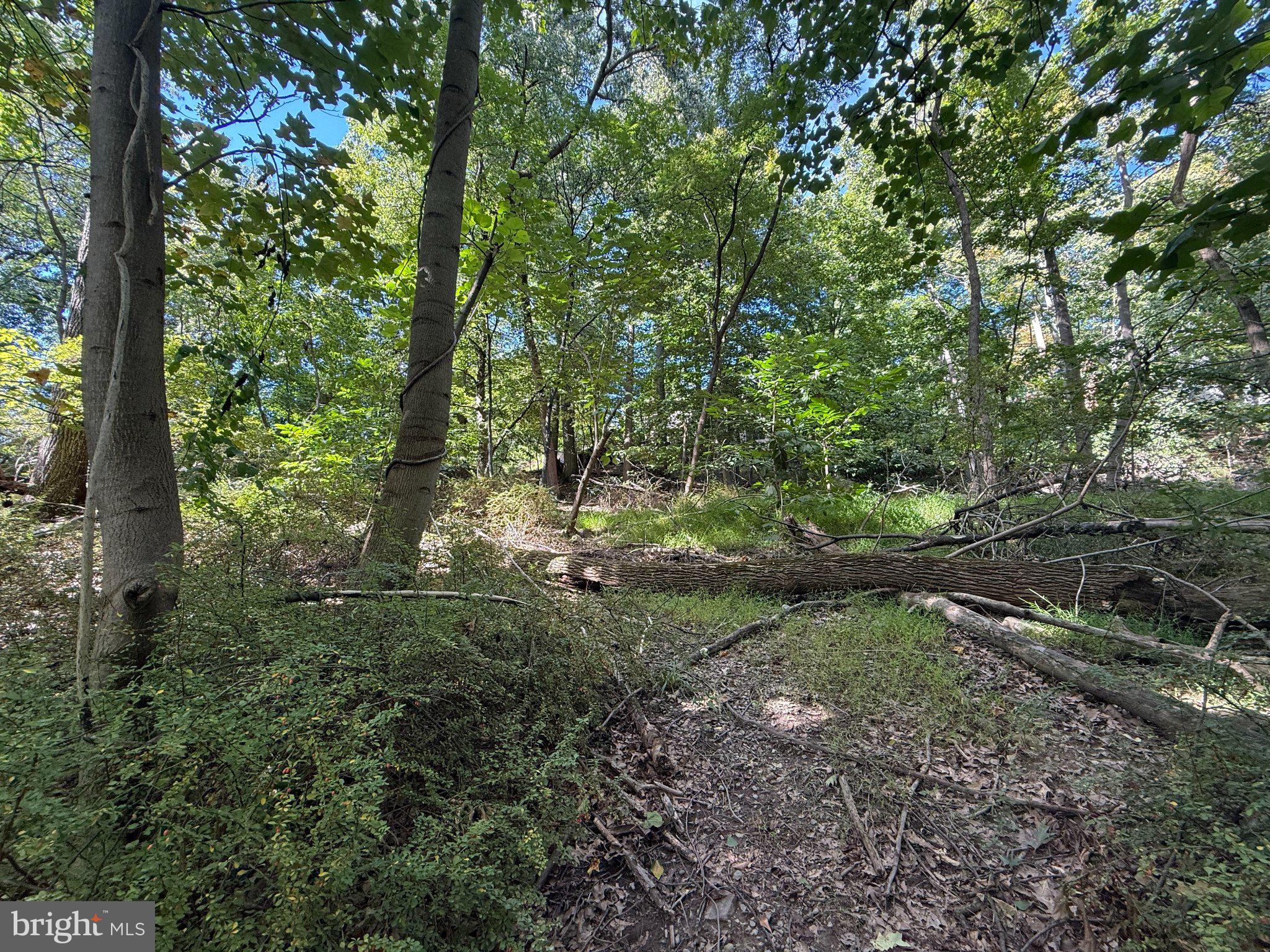 LOT 67 DOGWOOD ROAD