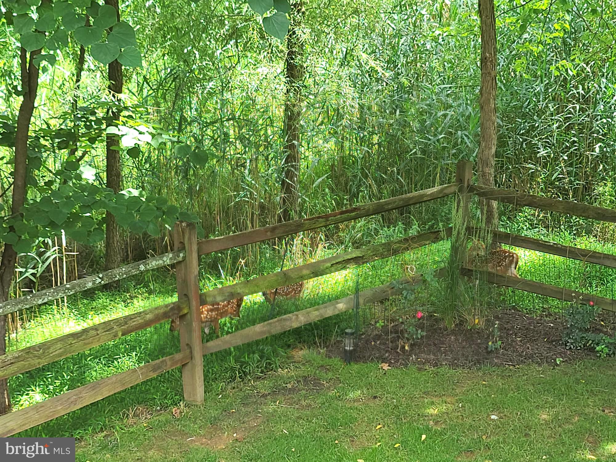 CATON GLEN - Residential