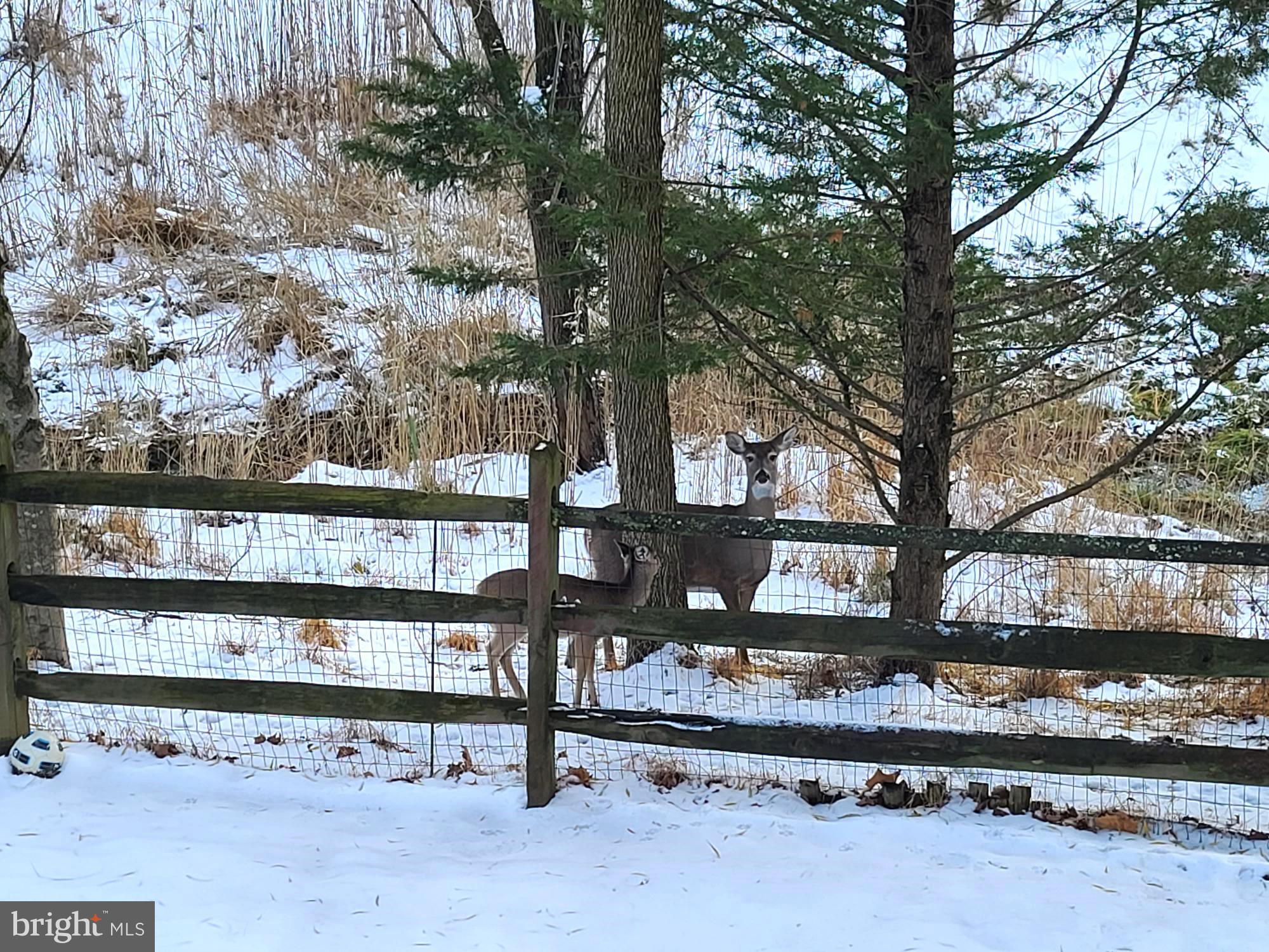 CATON GLEN - Residential