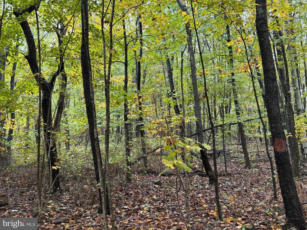Photo of 0 Weyant Farm Lane, CLAYSBURG, PA 16625 (MLS # PABR2015814)
