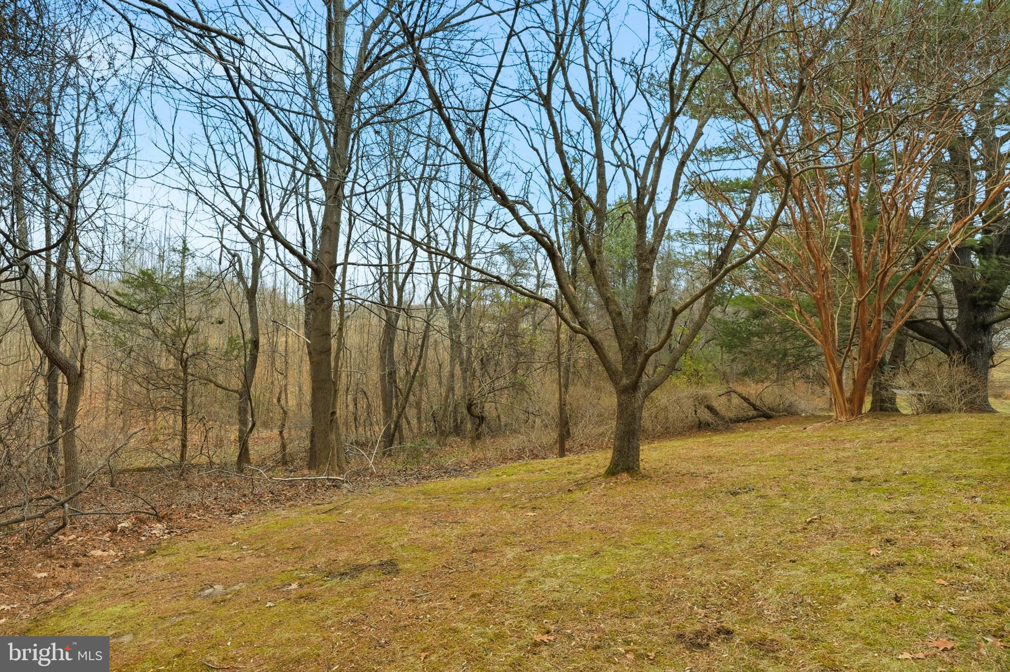 BRIARIDGE - Residential